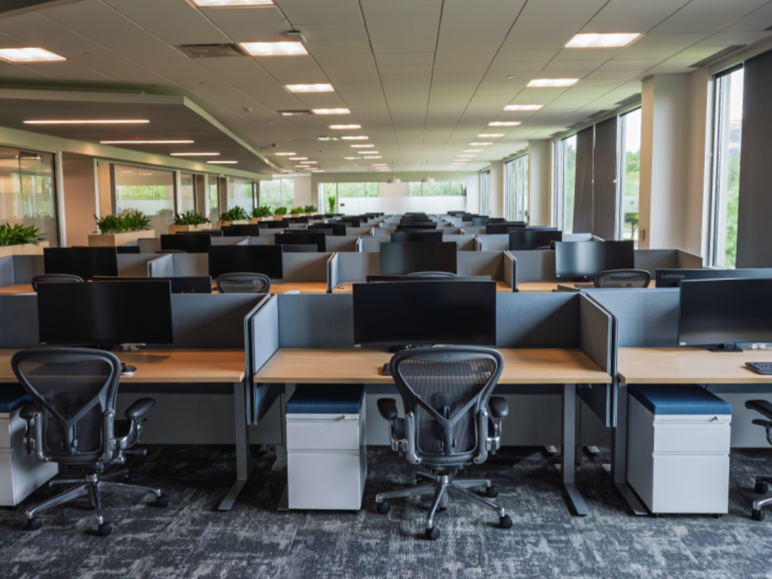 Empty modern office with rows of cubicles, each equipped with a monitor, chair, and small filing cabinet, large windows along the side letting in natural light, and potted plants on the partition walls.