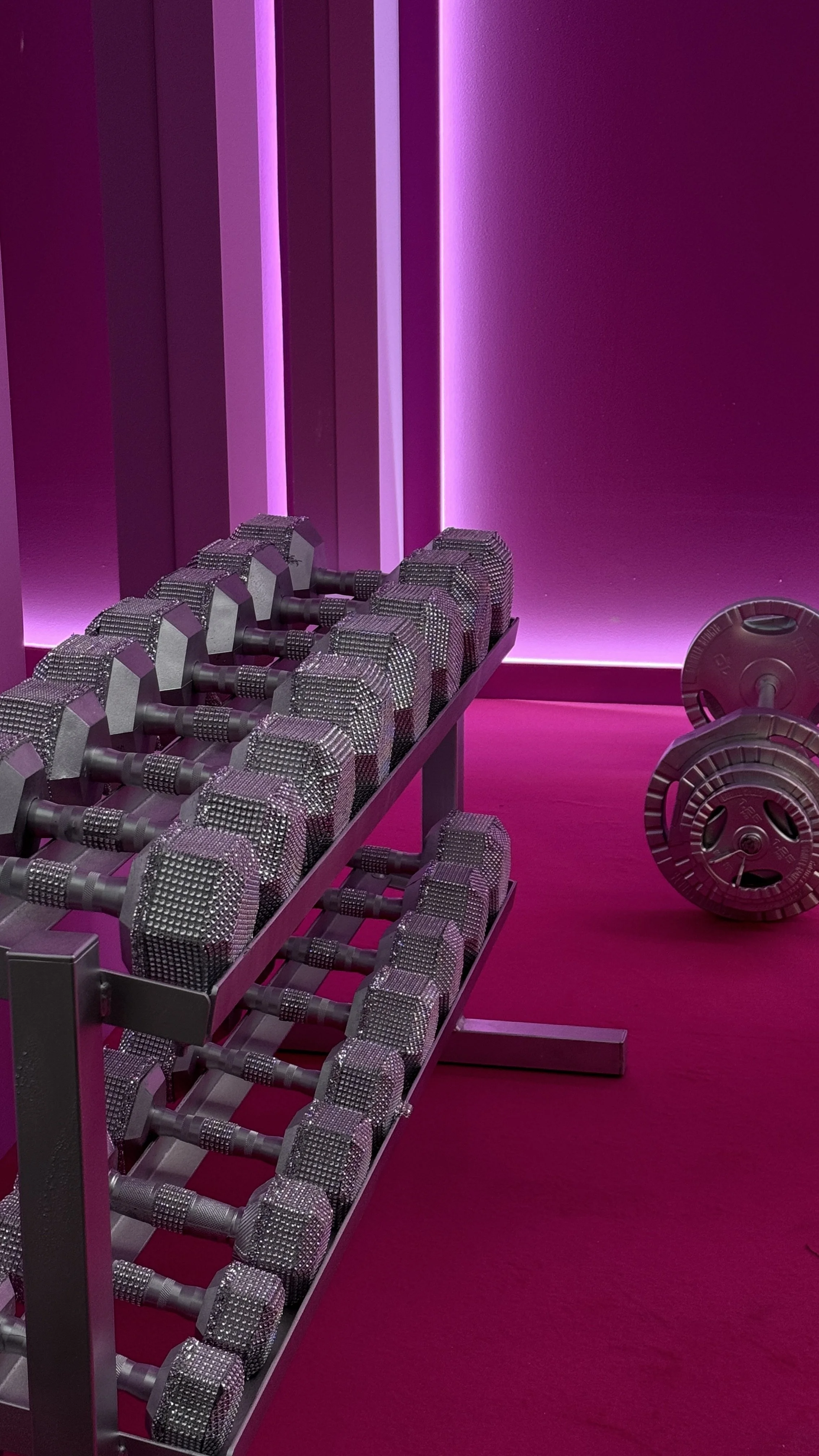 A rack of silver dumbbells and a few weight plates in a workout room with purple lighting.
