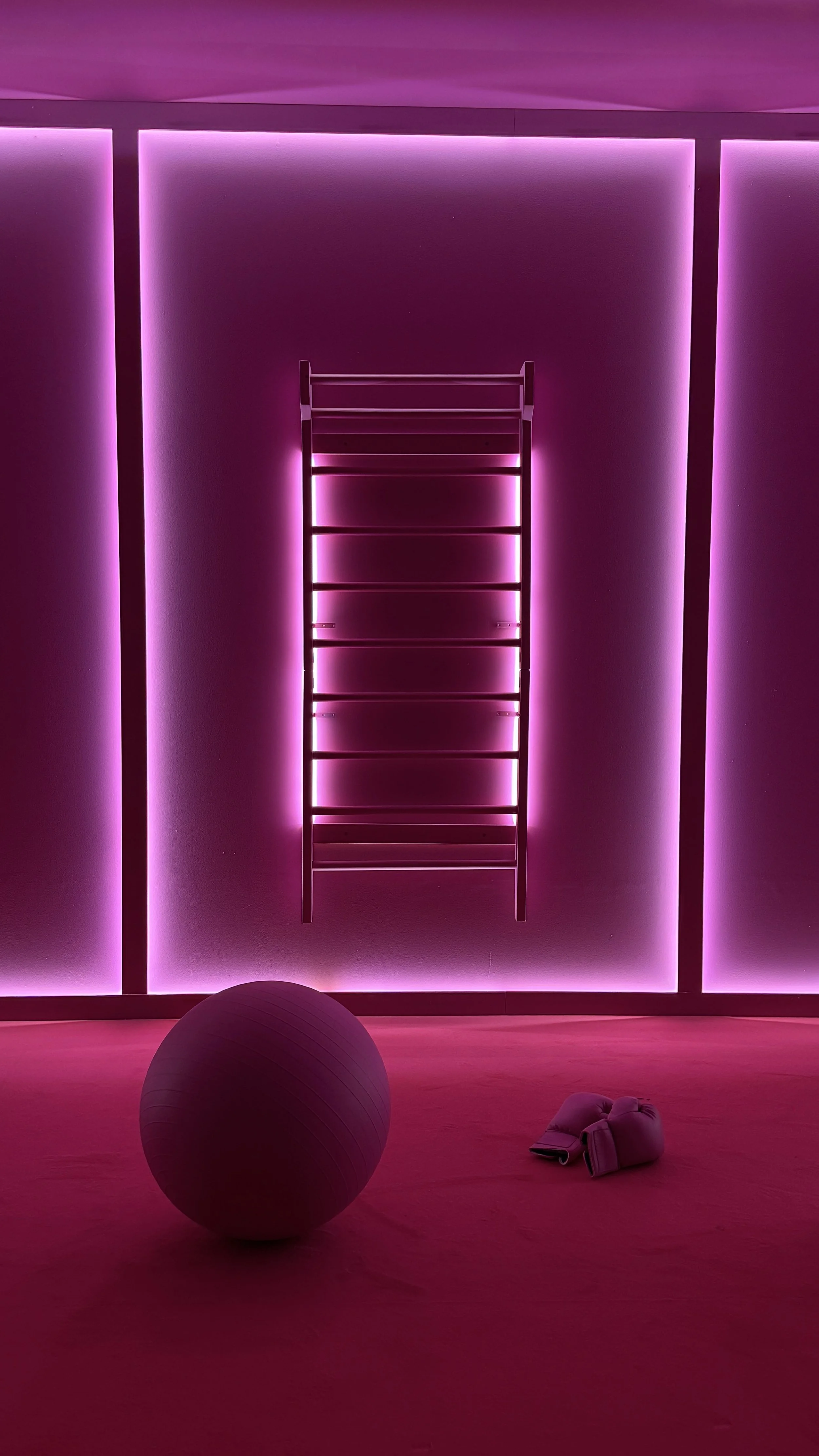 A room with pink lighting, a wall ladder, a fitness ball, and boxing gloves on the floor.