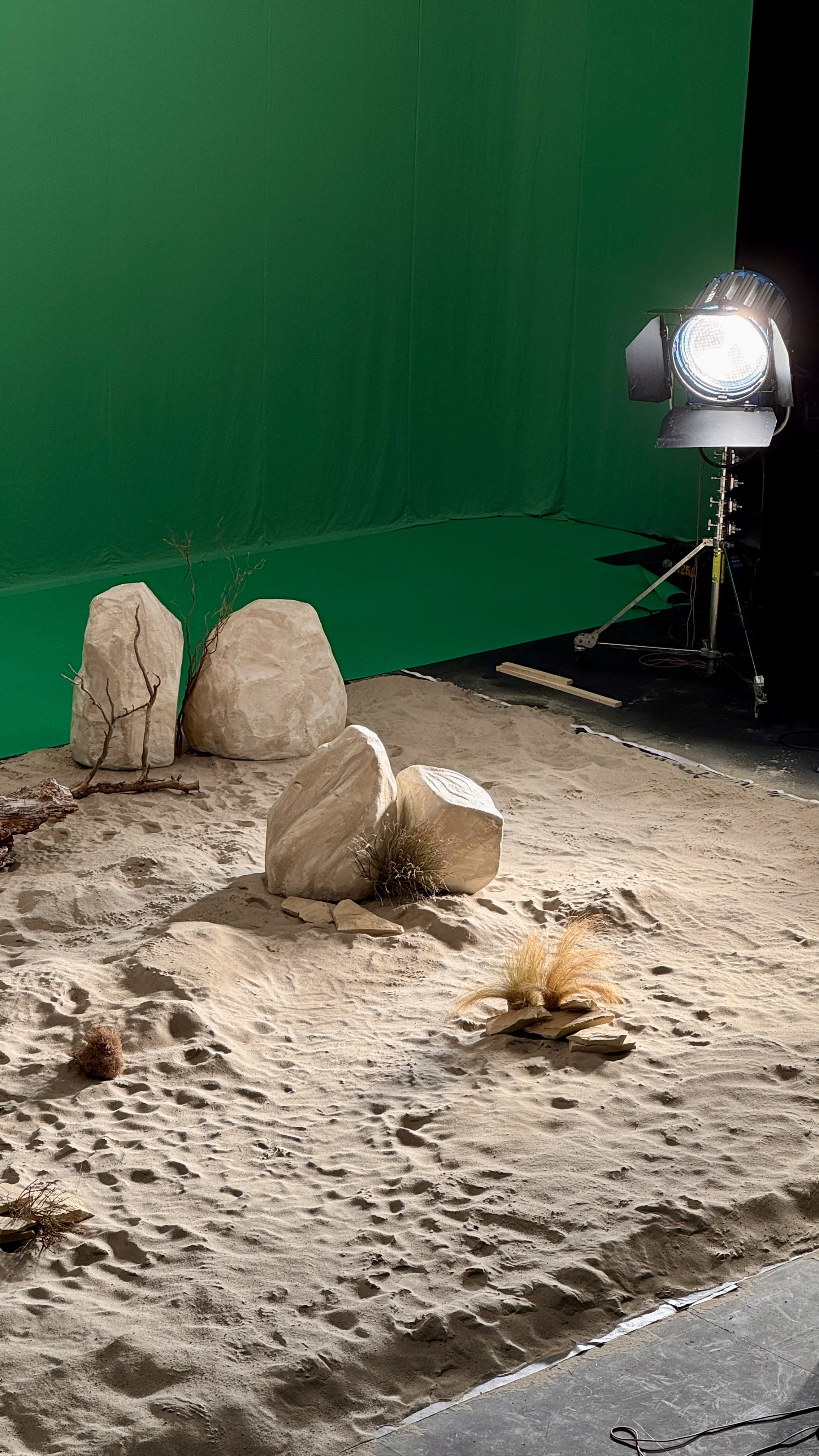 A green screen backdrop in a studio, with a sandy floor decorated with rocks and dry plants, and professional lighting equipment.