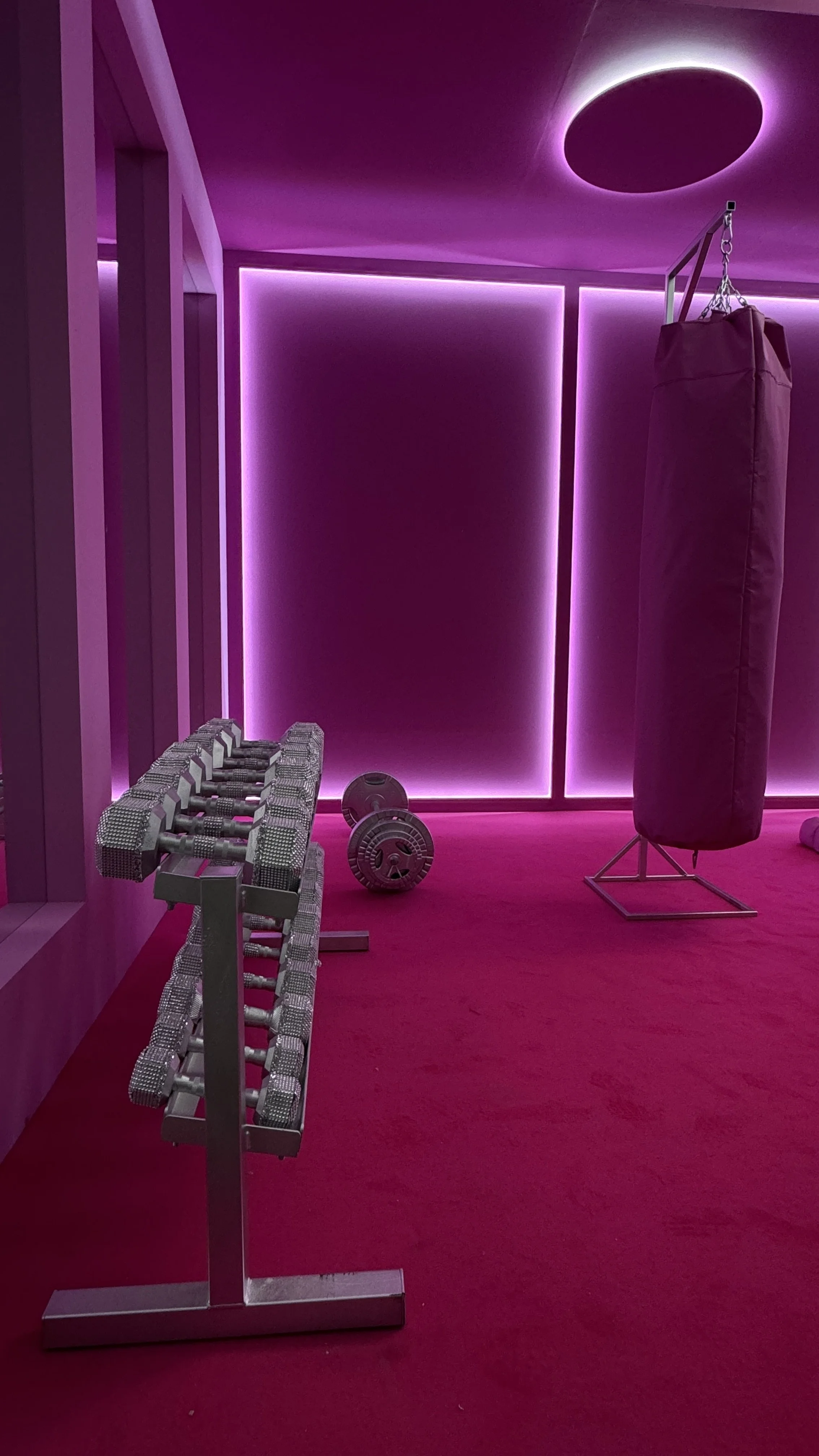 A gym with pink lighting, featuring a row of dumbbells on a rack, a punching bag on a stand, and workout equipment including weight plates on the floor.