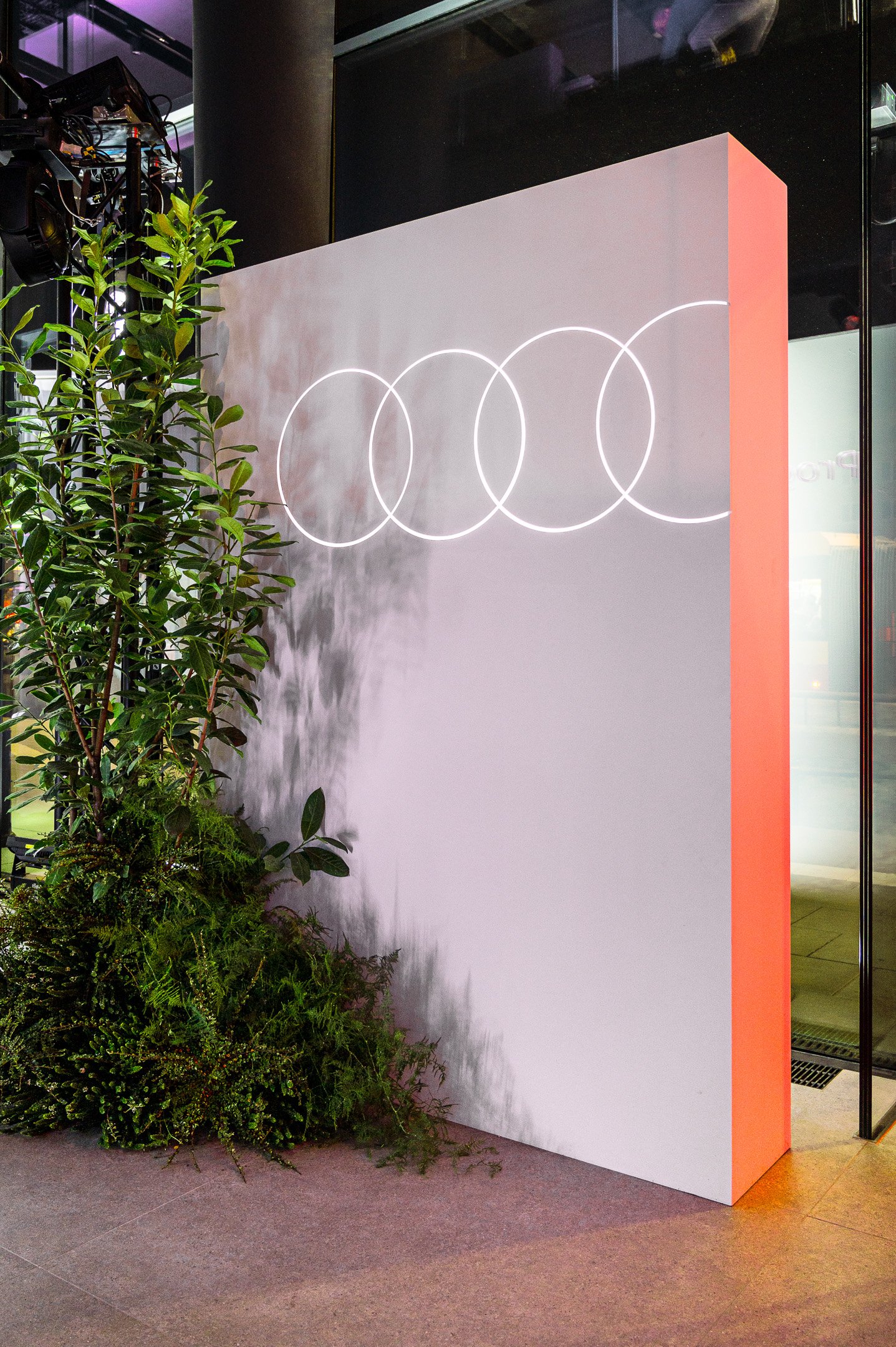 A white wall with the Olympic rings logo illuminated in white, next to a green leafy plant, inside a modern building with glass walls and gray flooring.