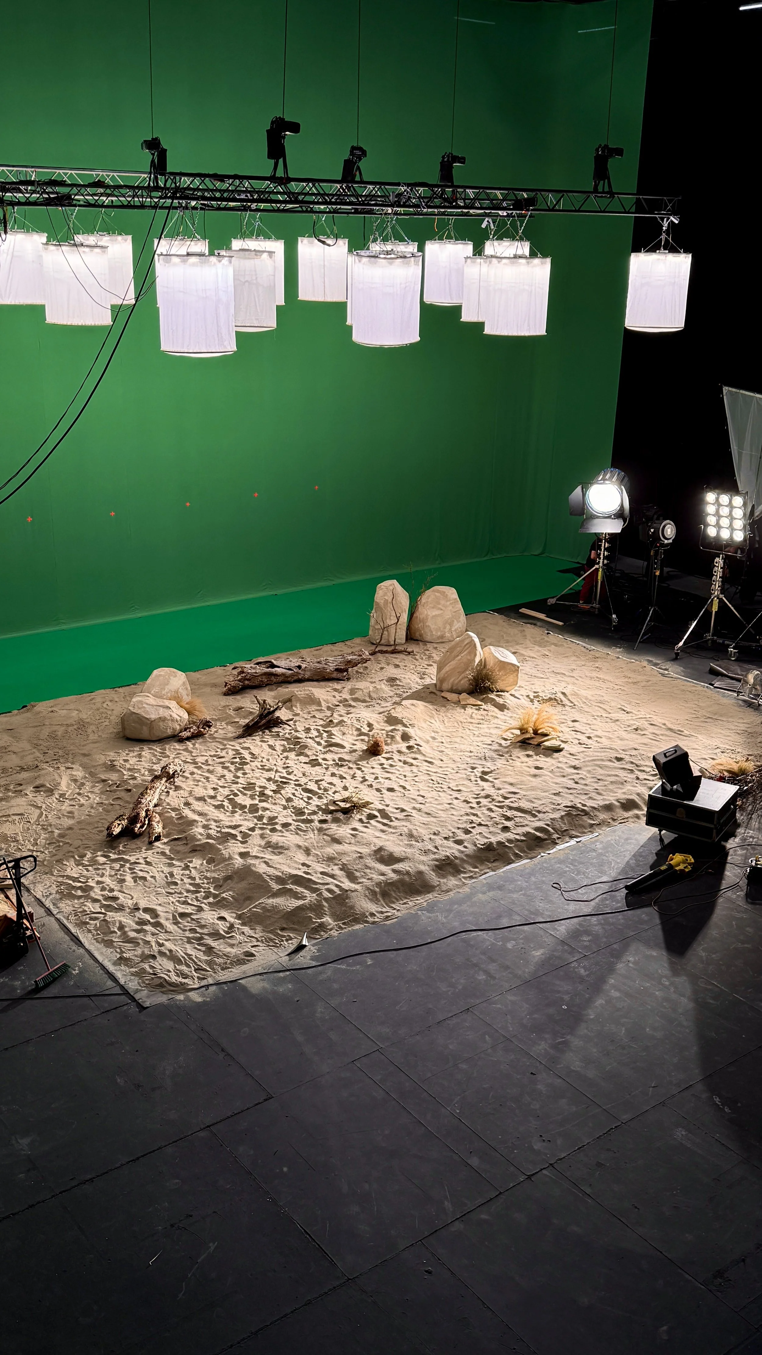 In this studio setup, there is a large green backdrop, with white studio lights hanging above, and several spotlights on stands to the right. The foreground features a sandy surface decorated with rocks, driftwood, and desert plants, suggesting a des