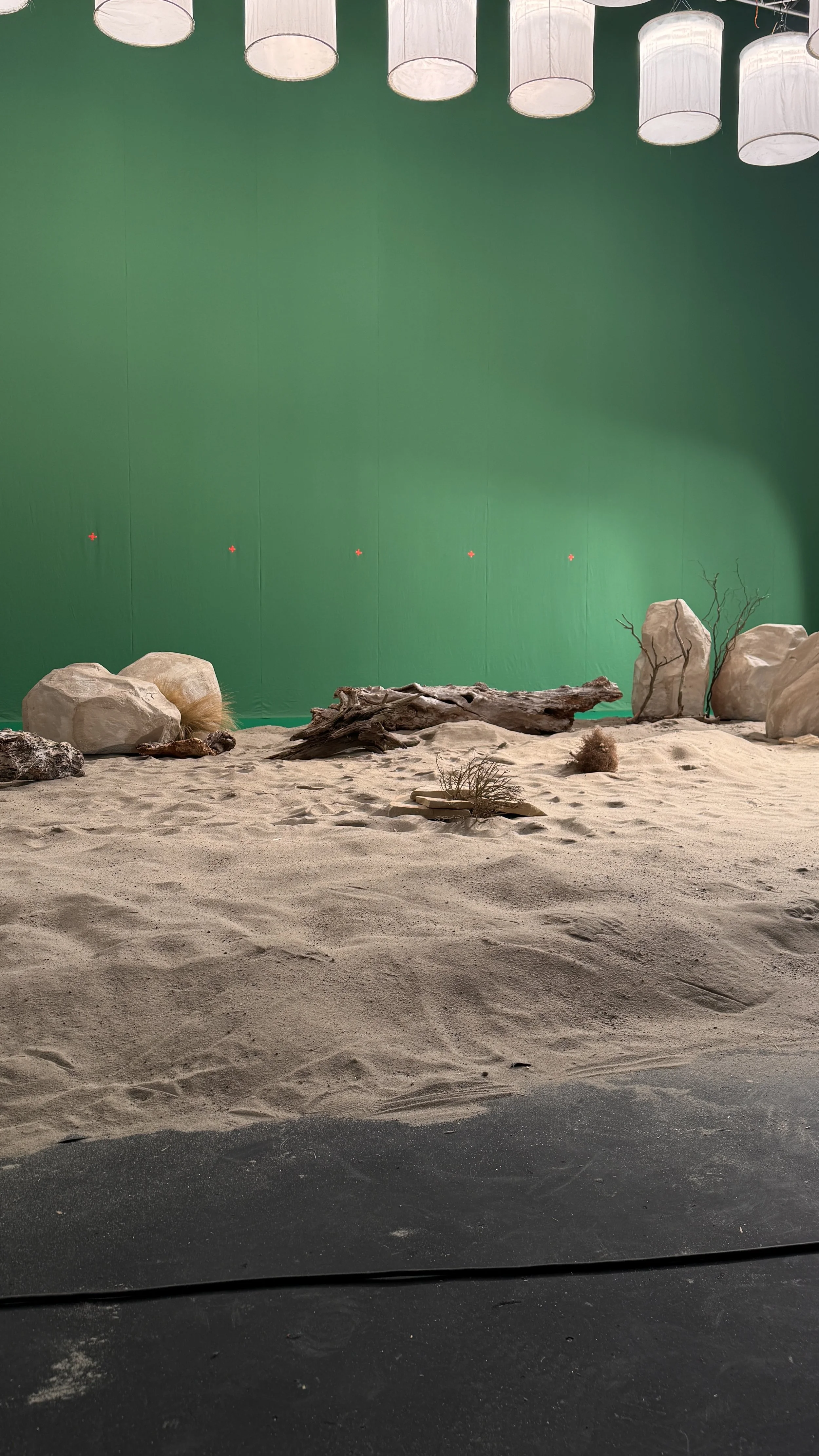 Indoor scene with a green screen, artificial rocks, driftwood, and plants on sand, with ceiling lights hanging above.