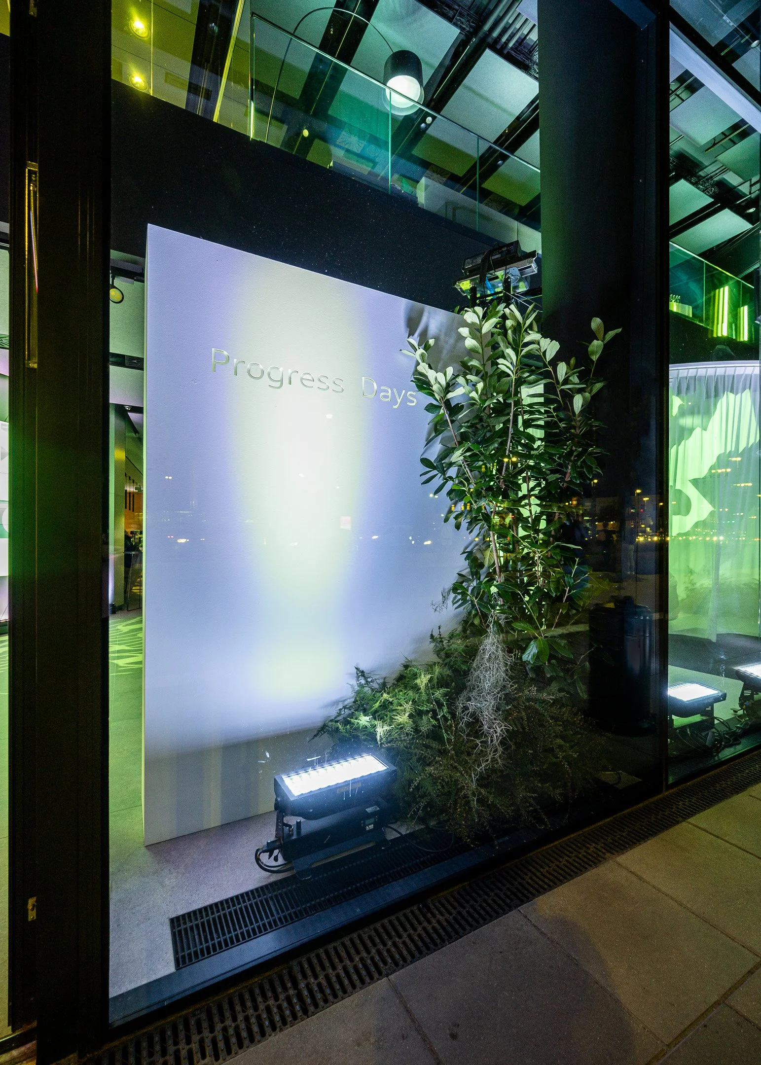 A storefront window display with a white sign that reads "Progress Days" in gold text, green plants, and lighting equipment inside the store visible through the glass.