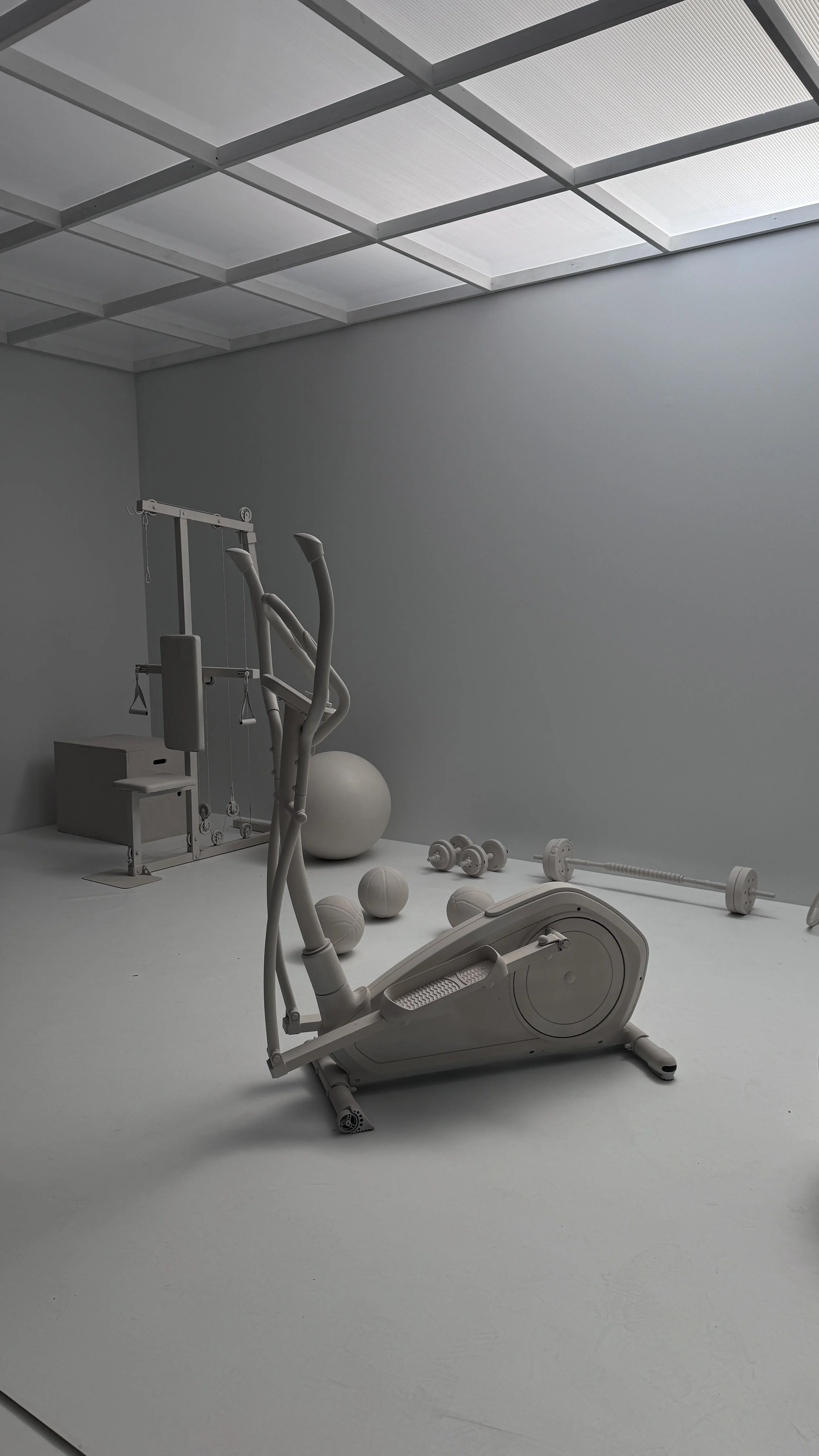 A minimalist room with white gym equipment, a large ball, dumbbells, and a rowing machine, all in a white and gray color scheme under a grid-patterned ceiling.
