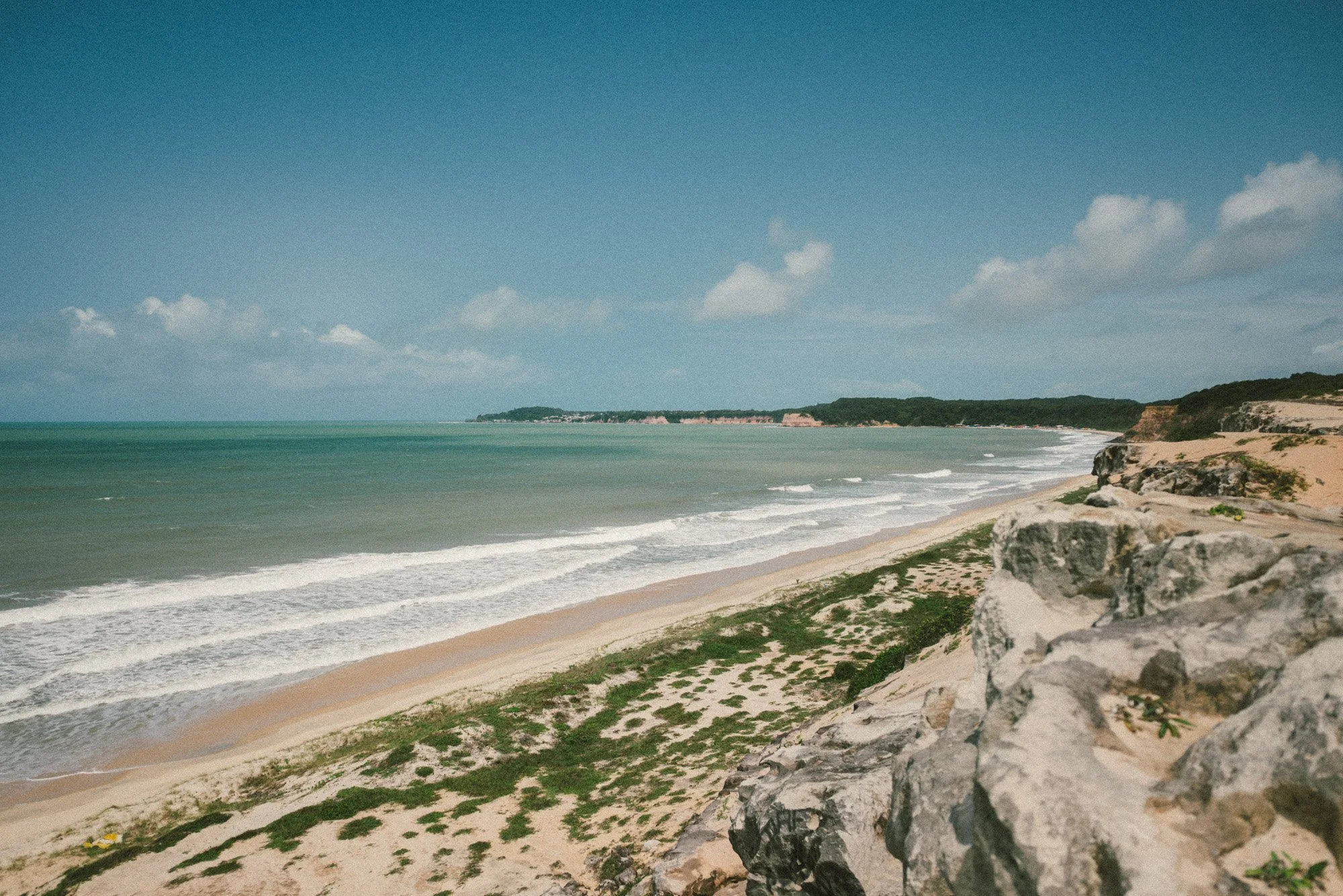 2025-09-04-pipa-4019.jpg