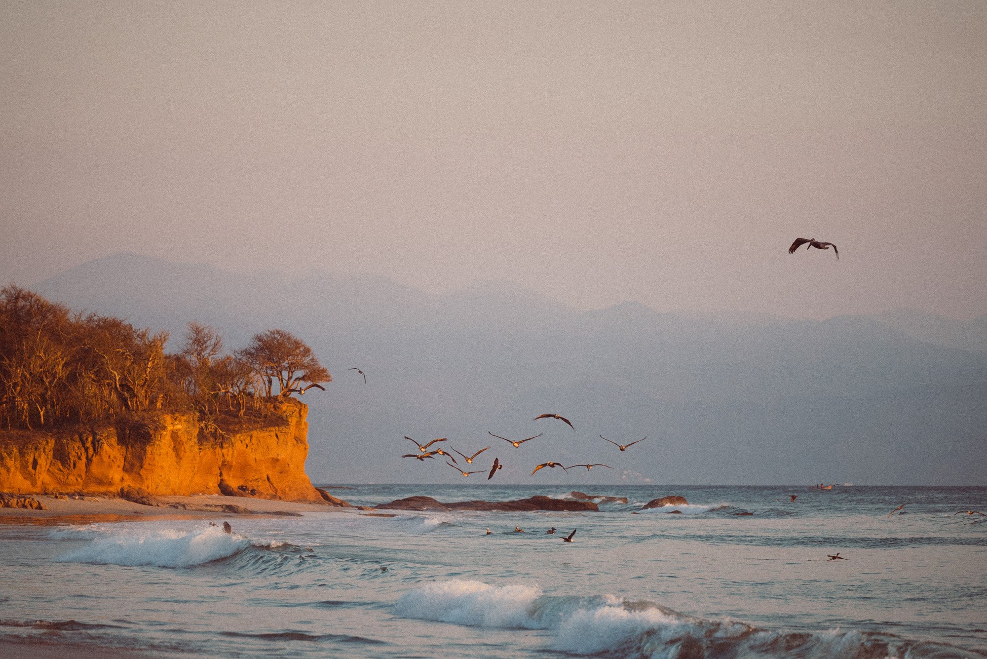 vista da paisagem de la lancha com passaros pelicanos voando