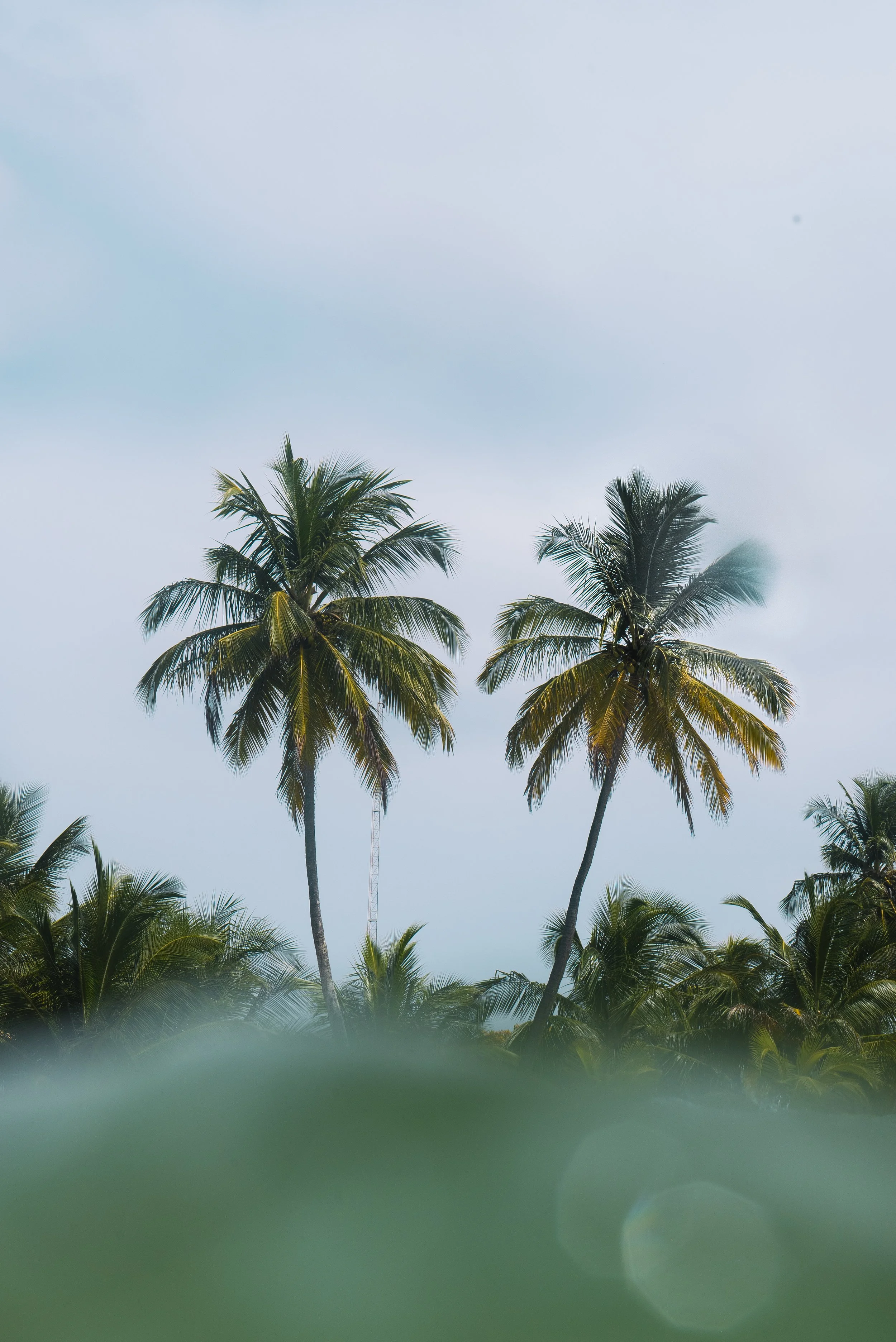 bahia-paisagens-9393.jpg