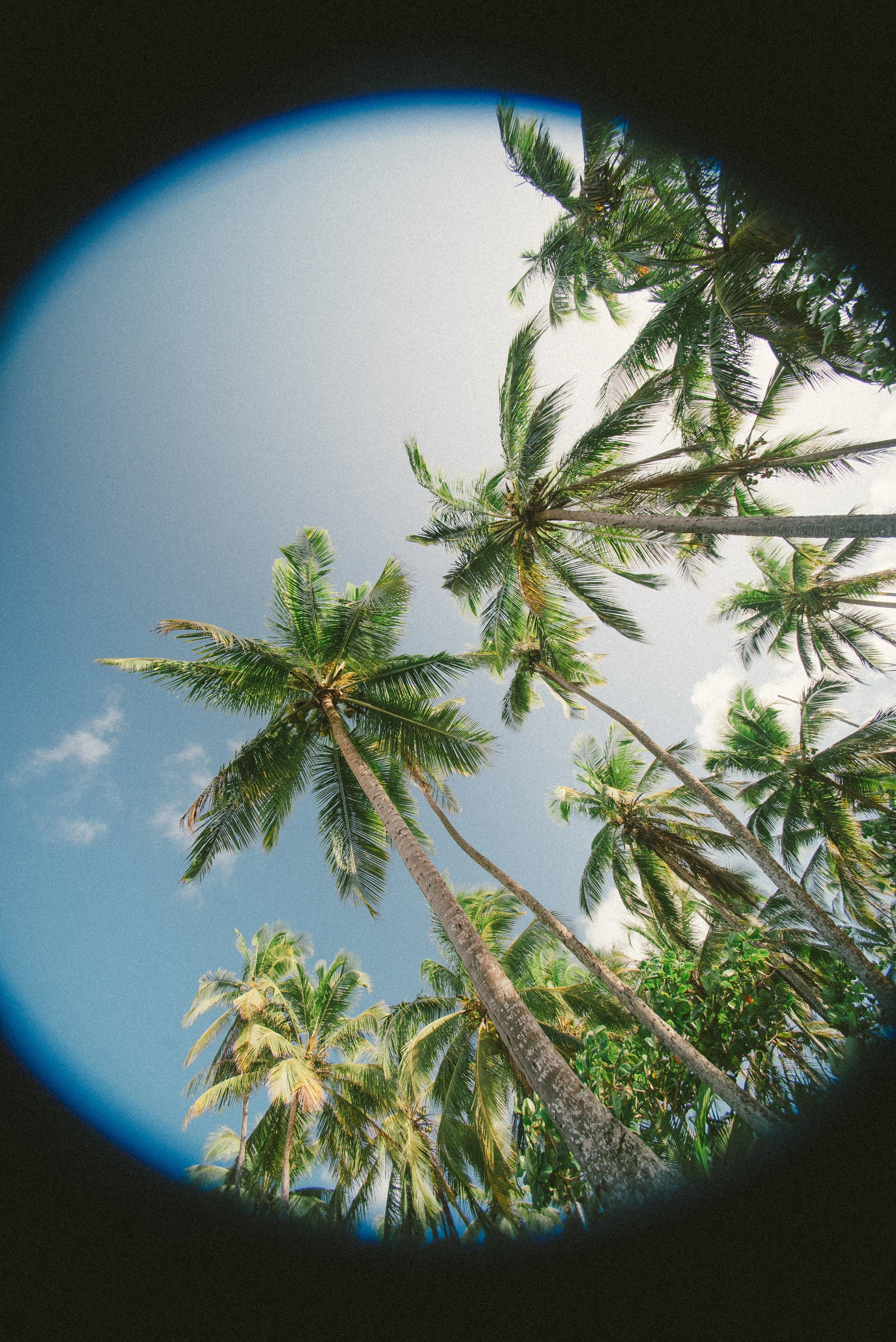 bahia-paisagens-0262.jpg