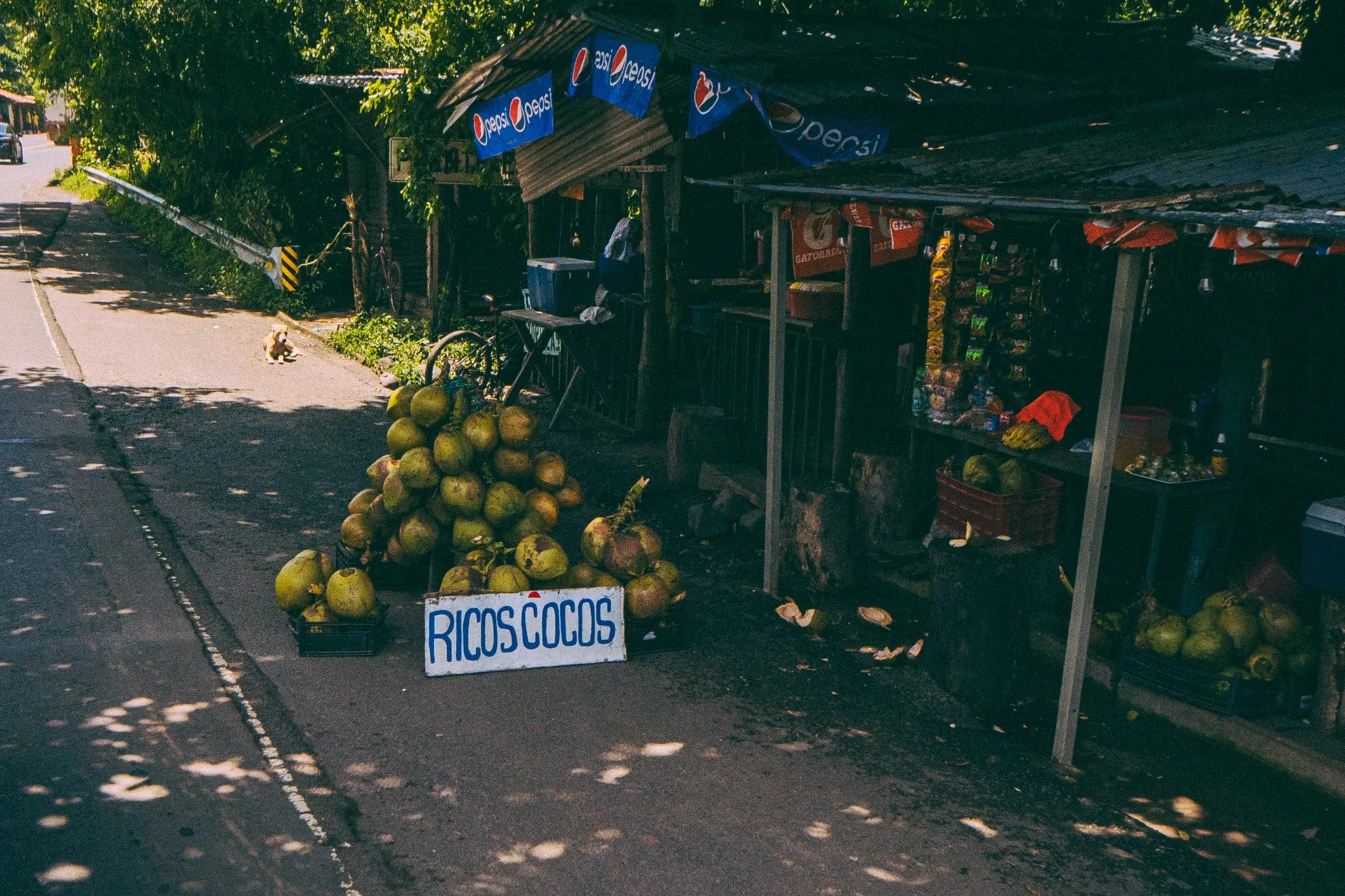 cocos el salvador cultura de rua