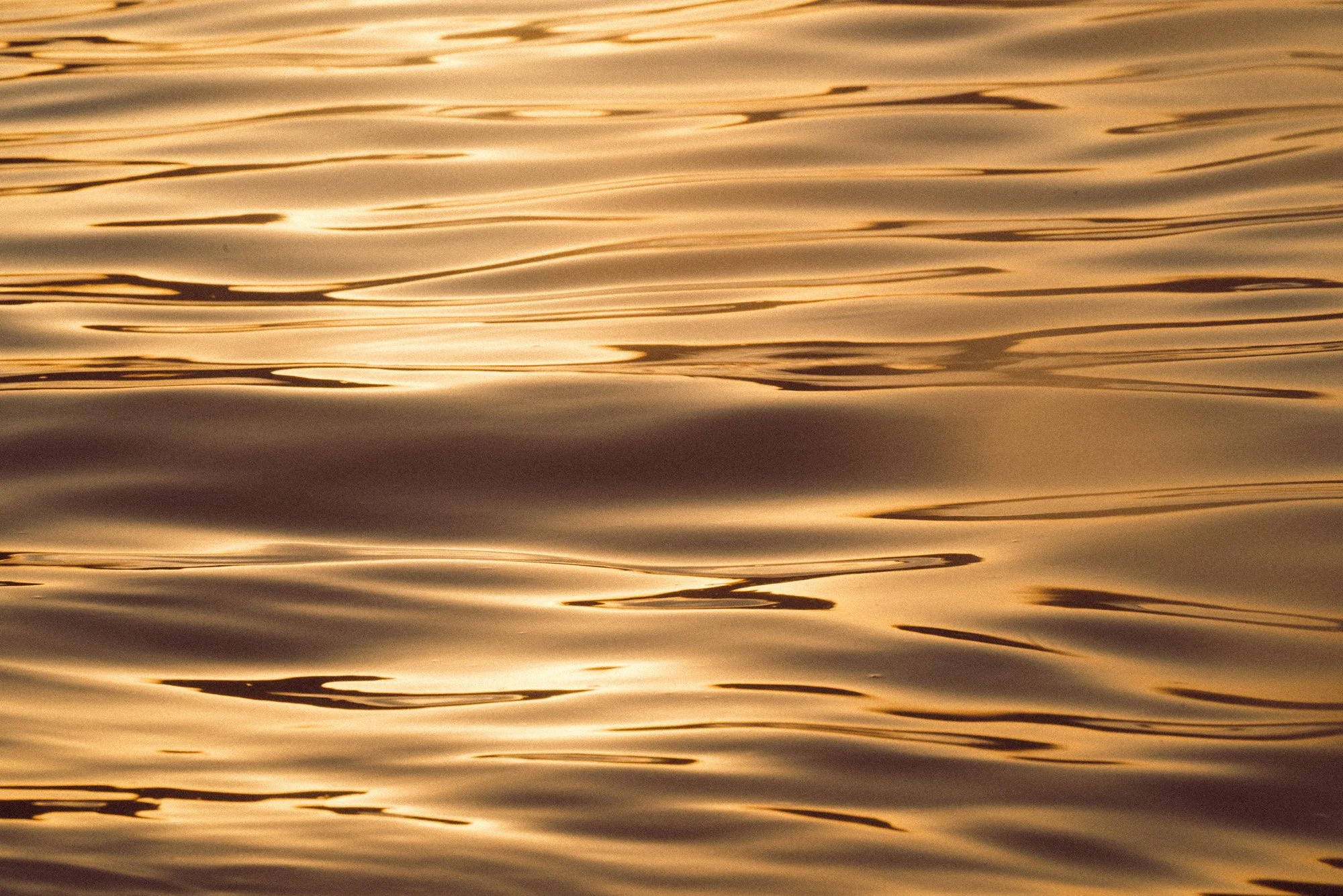 agua-dorada-9526.jpg