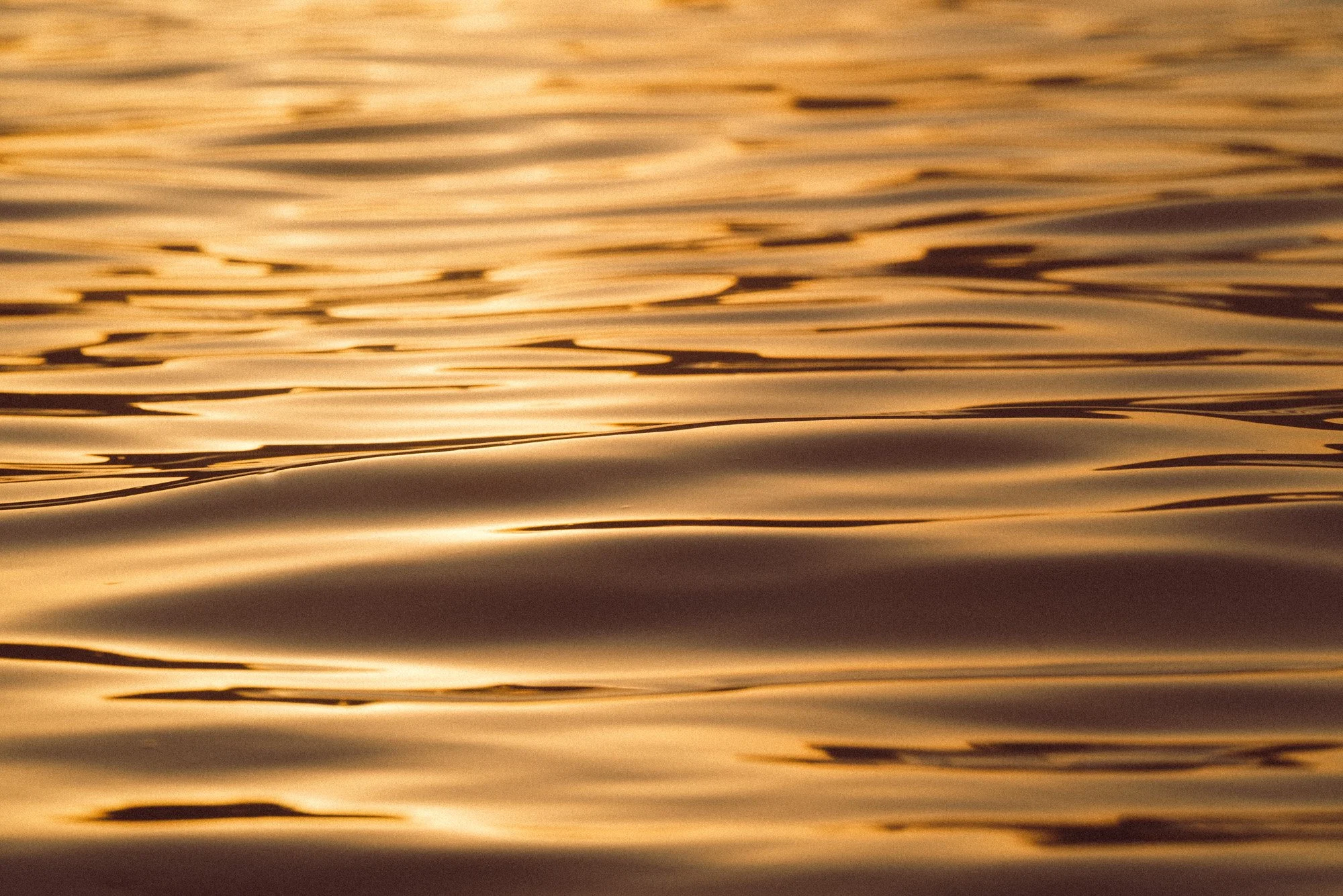 agua-dorada-9533.jpg