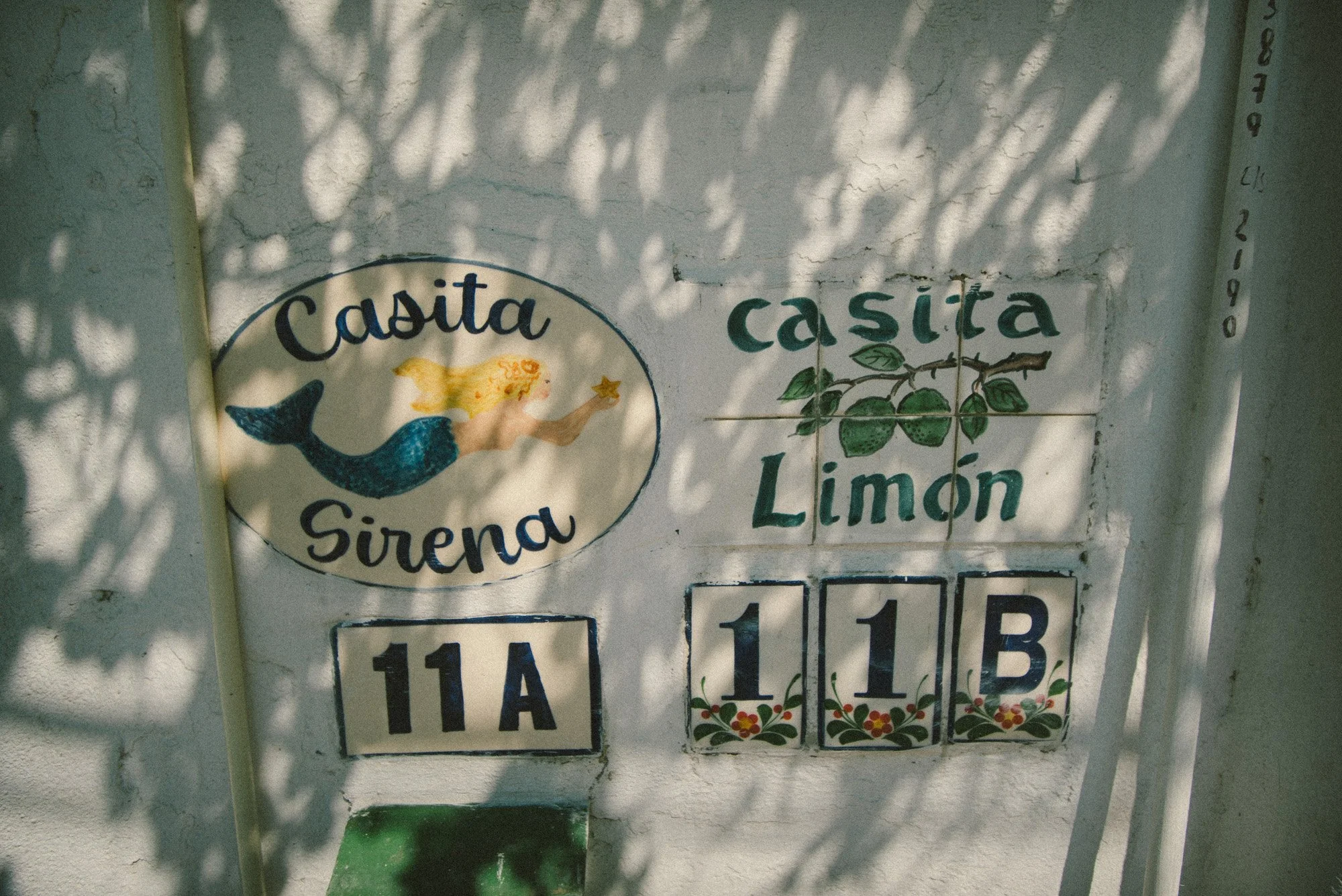 2026-03-18-lalancha-8218.jpg