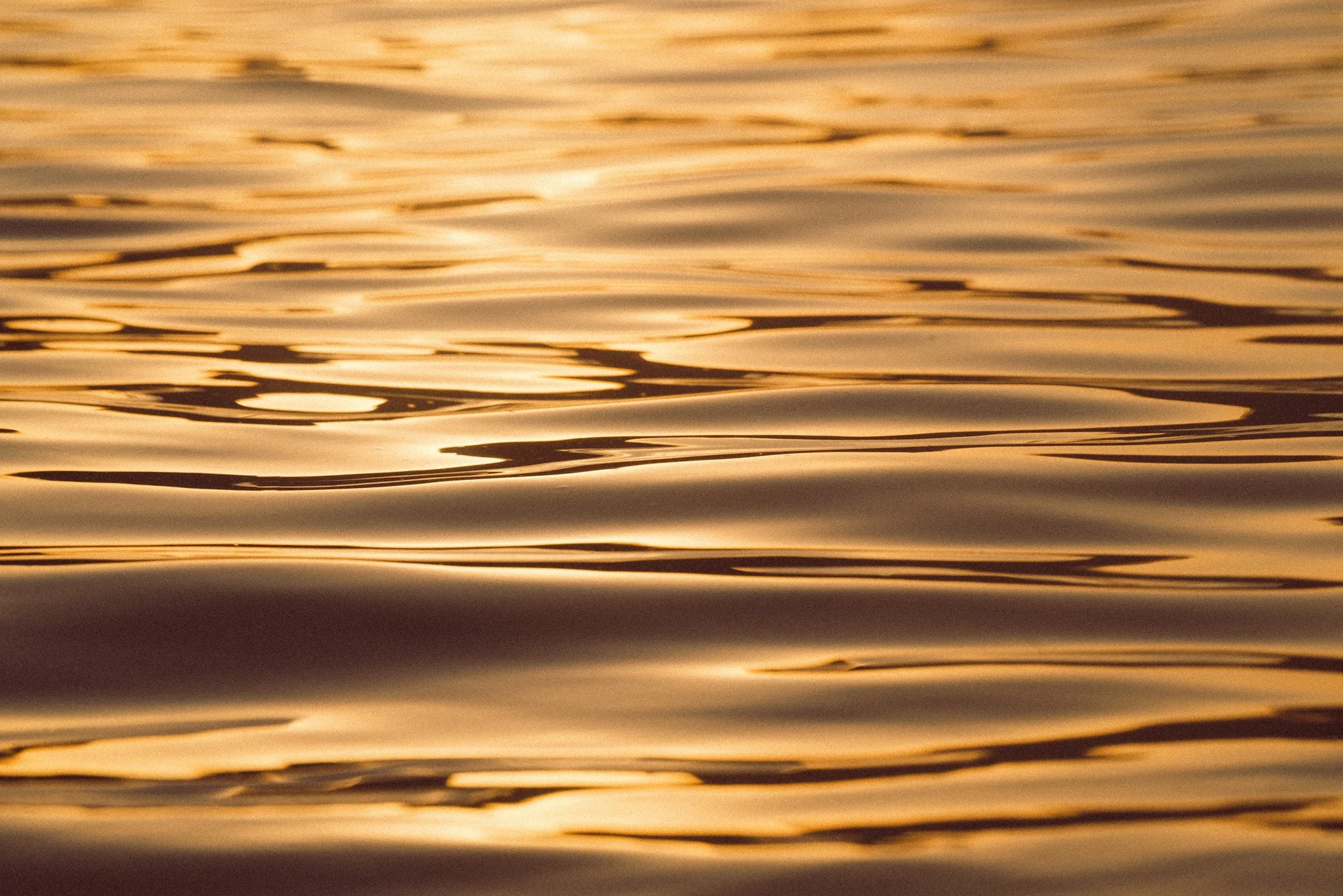 fotografia de água do mar dourada para composição fotográfica de quadros