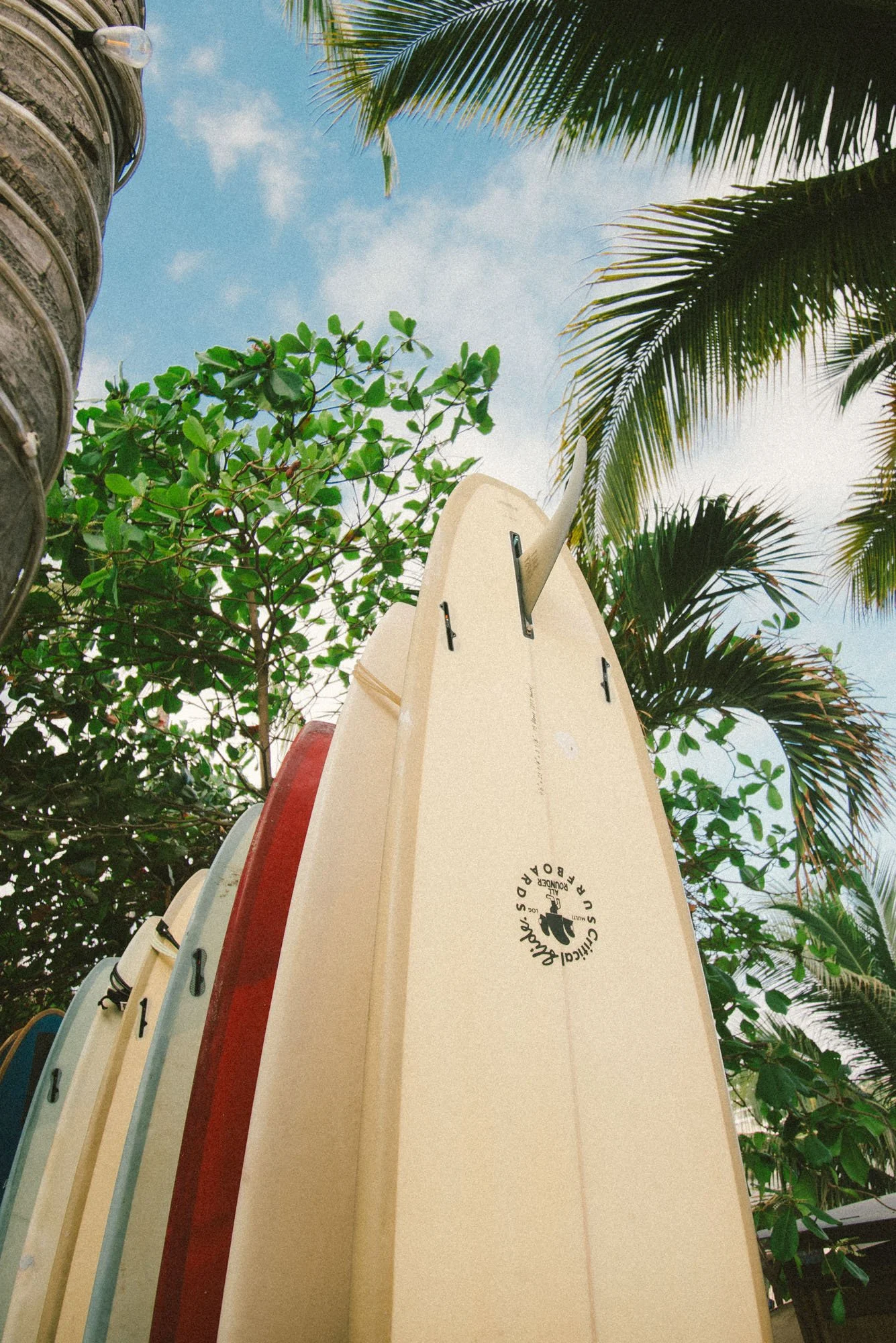 fotografia para decoração de prancha de surf