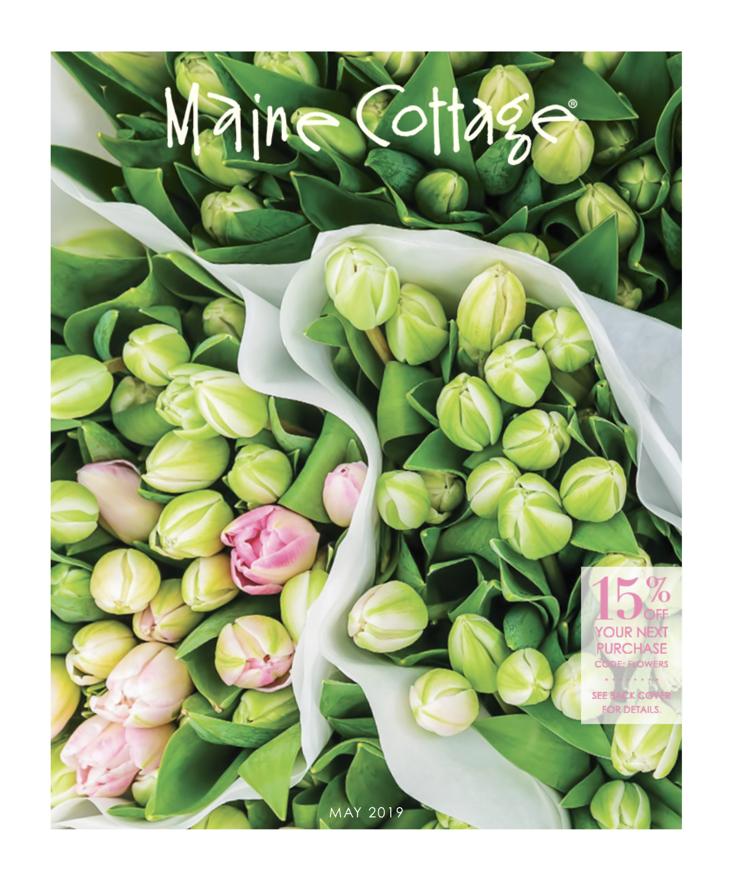 click to view catalog
