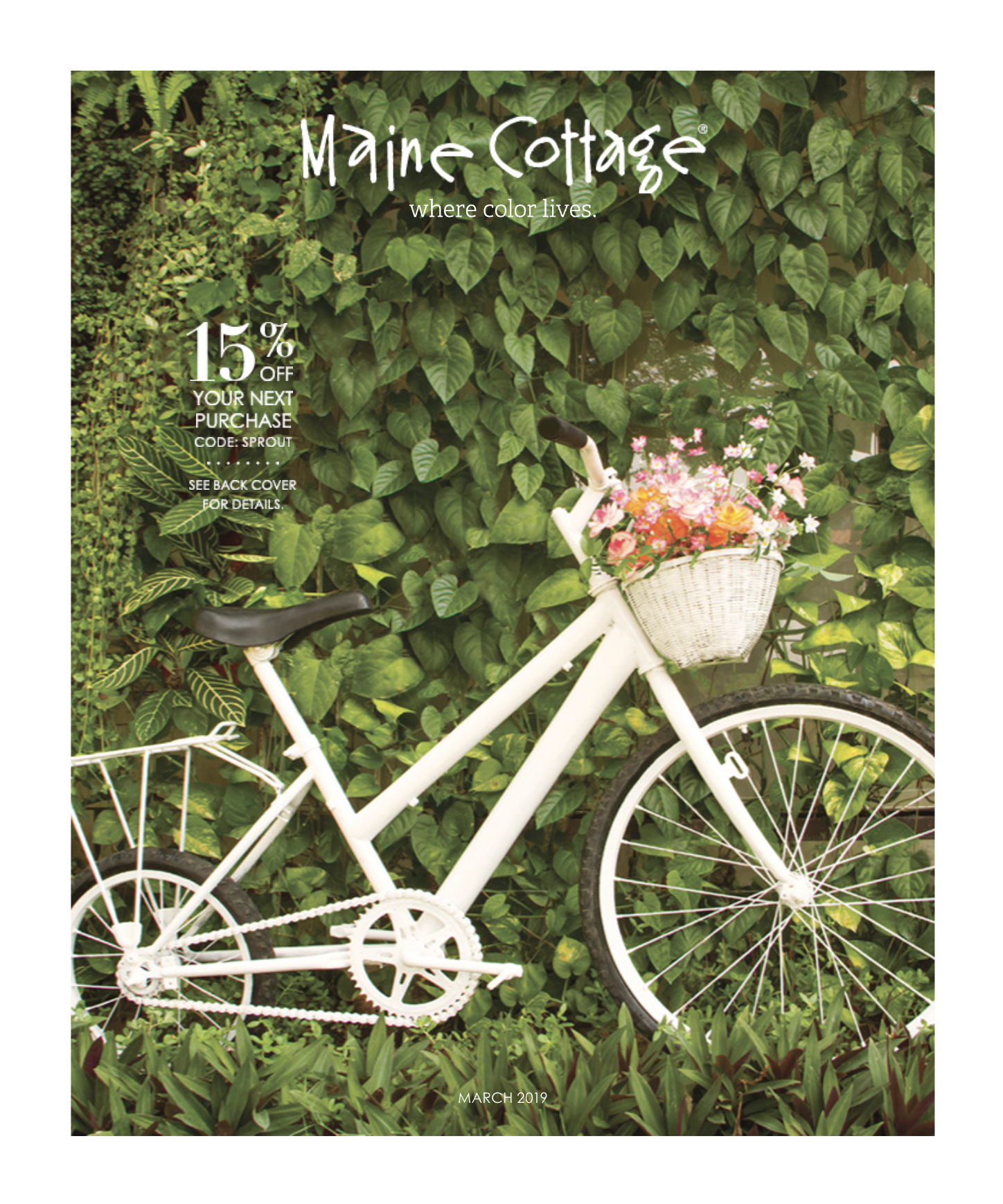 click to view catalog