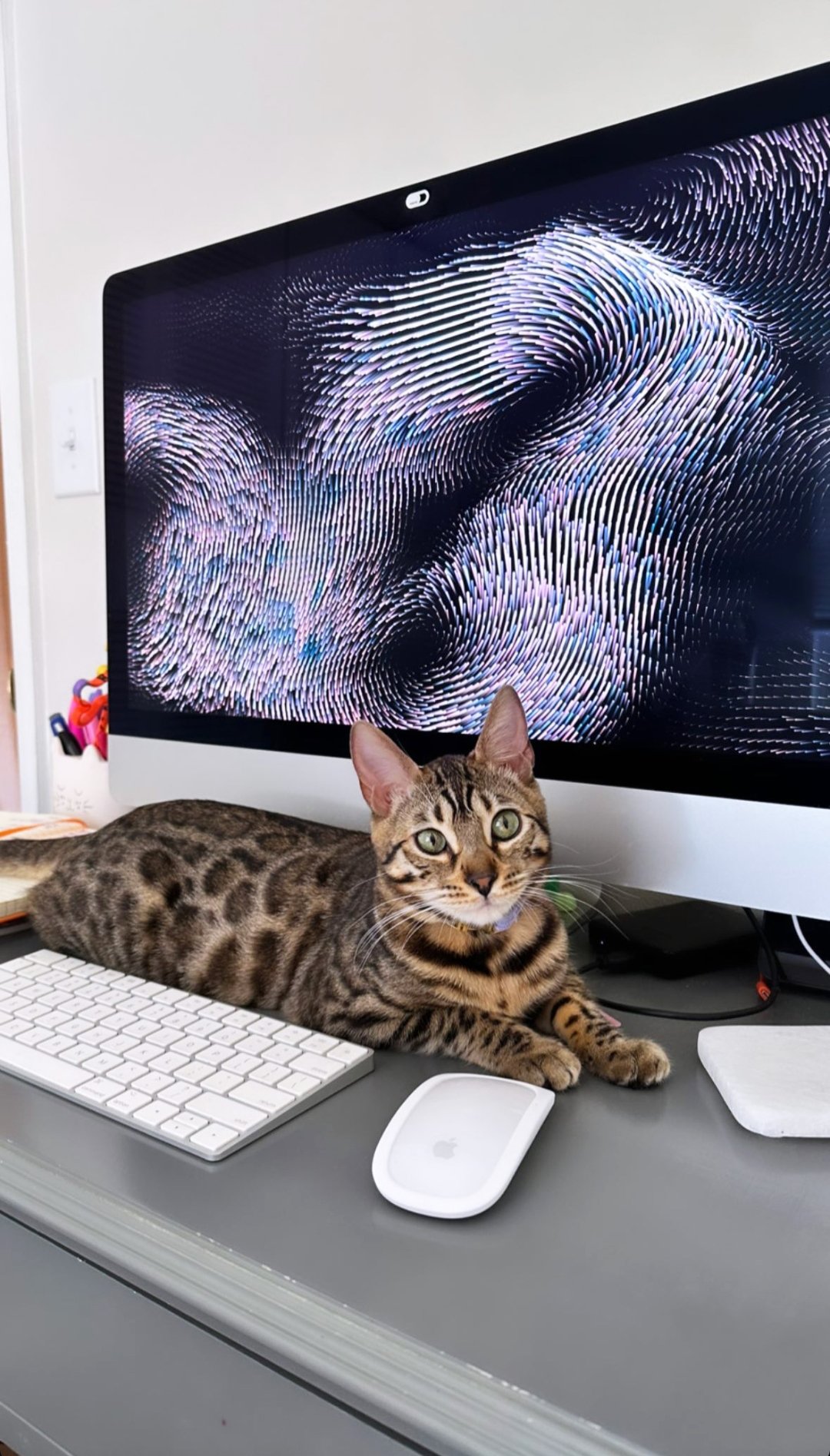 A young Bengal cat with a spotted coat lying on a desk in front of a computer keyboard and mouse, with a large monitor displaying colorful digital art.