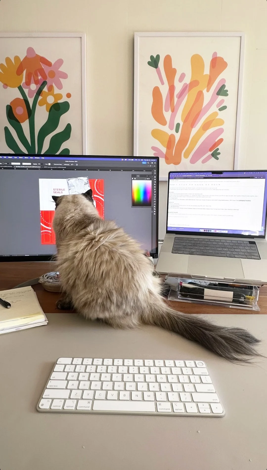 A fluffy long-haired cat sitting on a desk in front of two computer monitors. One monitor displays a graphic design project, and the other has a text document. There are art posters with abstract floral designs on the wall behind the desk, and various office supplies and notes are on the desk.