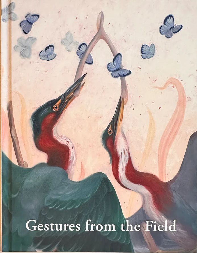'Gestures from the Field' by Laura Catherwood Front Cover