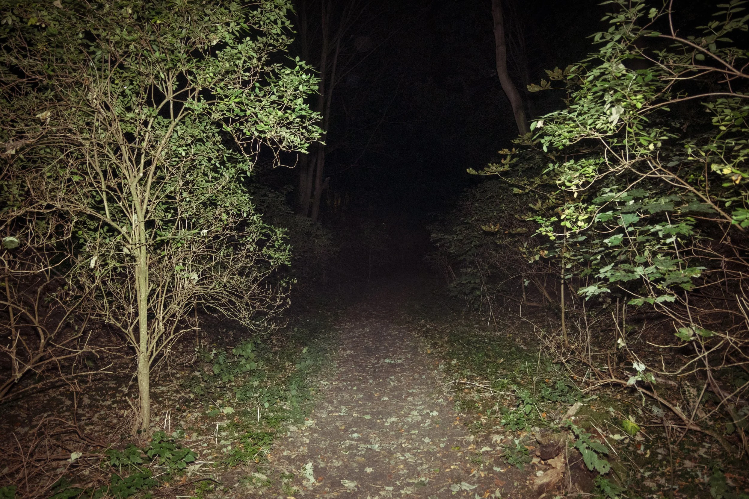 image2.jpg