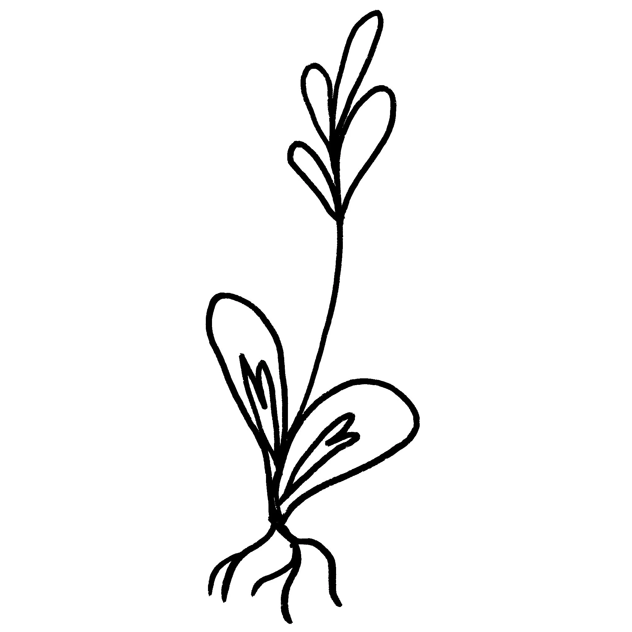 Geometric drawing of an outline square with sections divided by vertical, horizontal, and half circle lines.