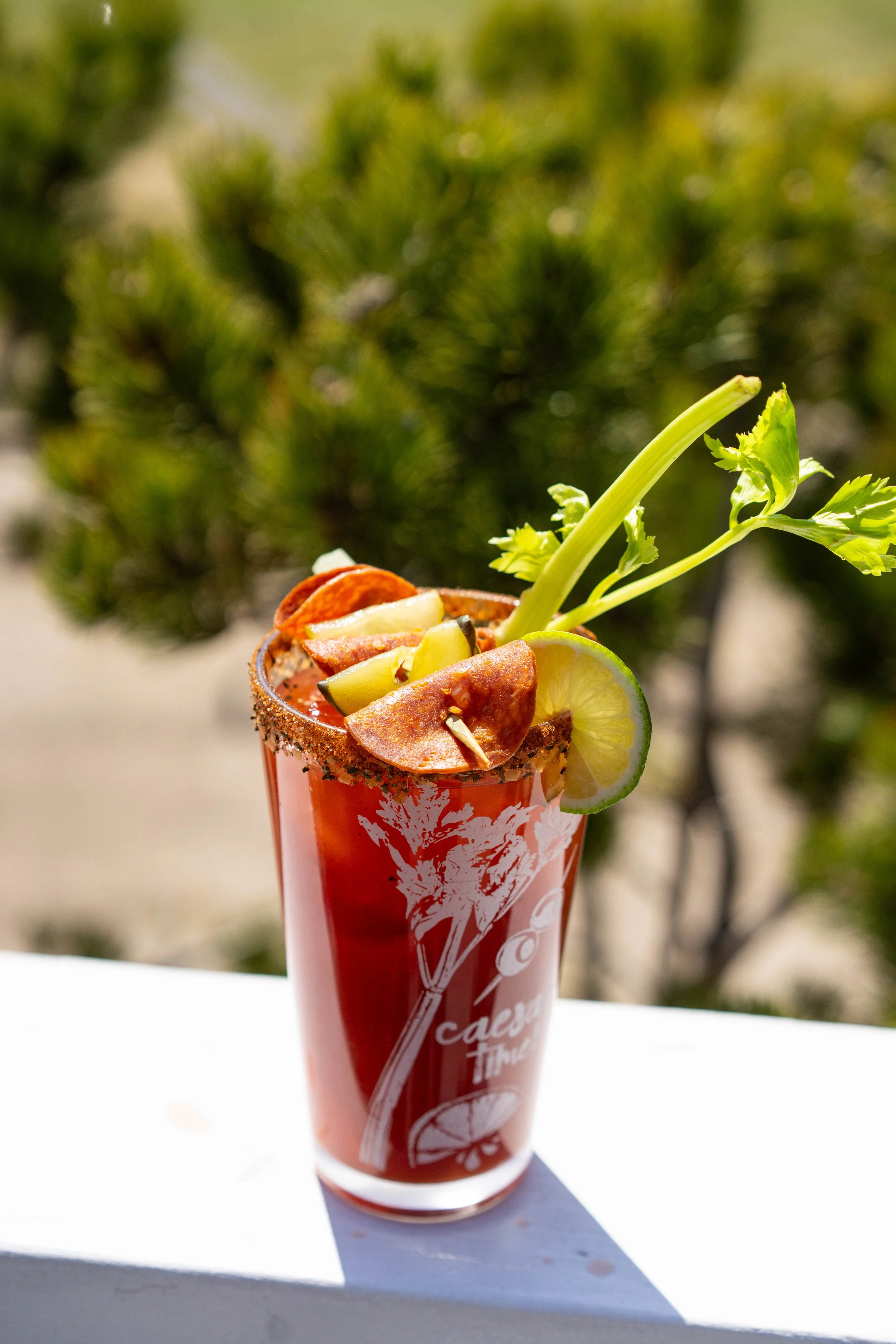 A tall red cocktail glass with a lemon wedge and green celery stalk garnishes, salt rim, and ice, set outdoors with a blurred green garden background.