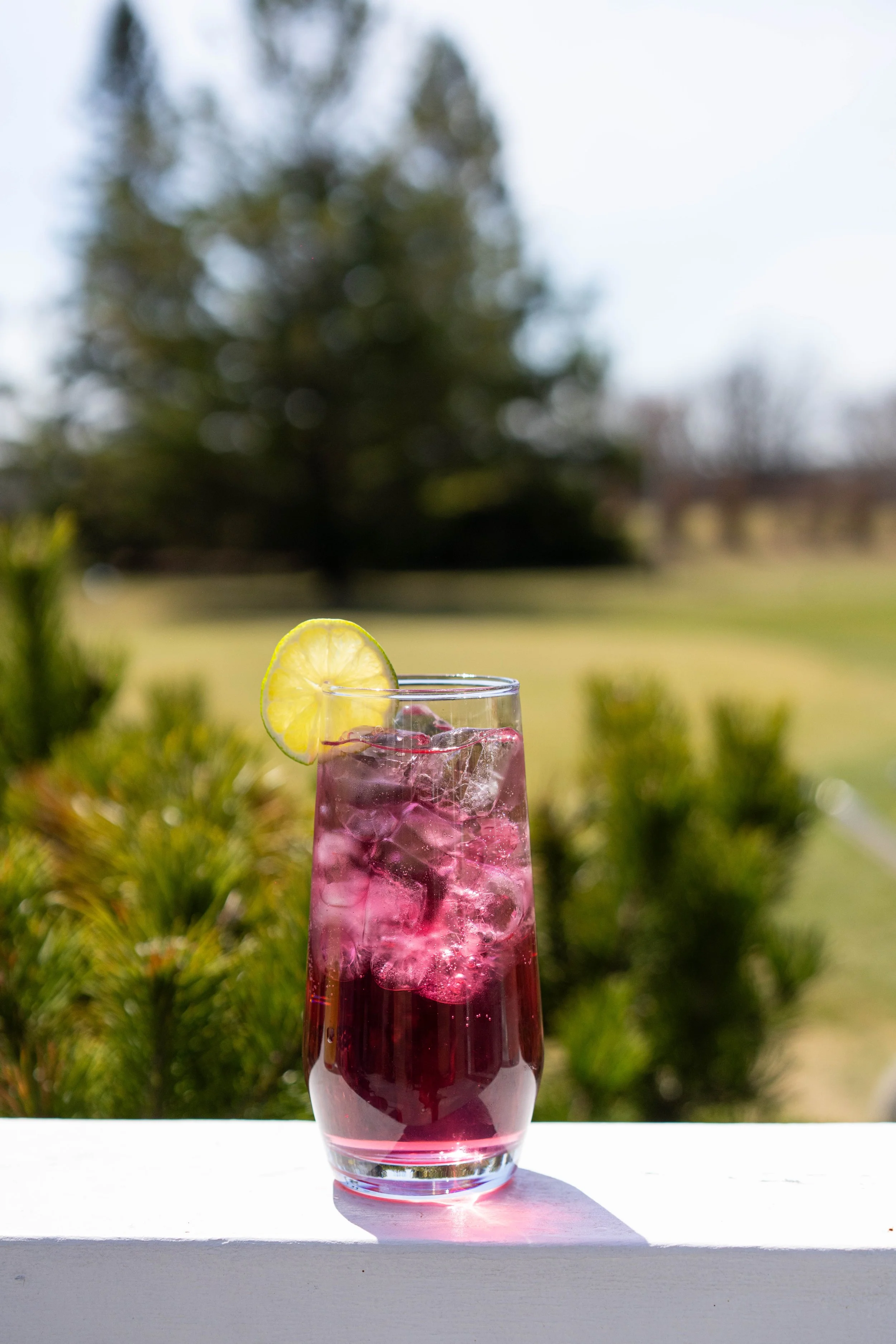 A tall glass of pink beverage with ice, garnished with a lemon slice, on a white surface outdoors with blurred greenery and trees in the background.