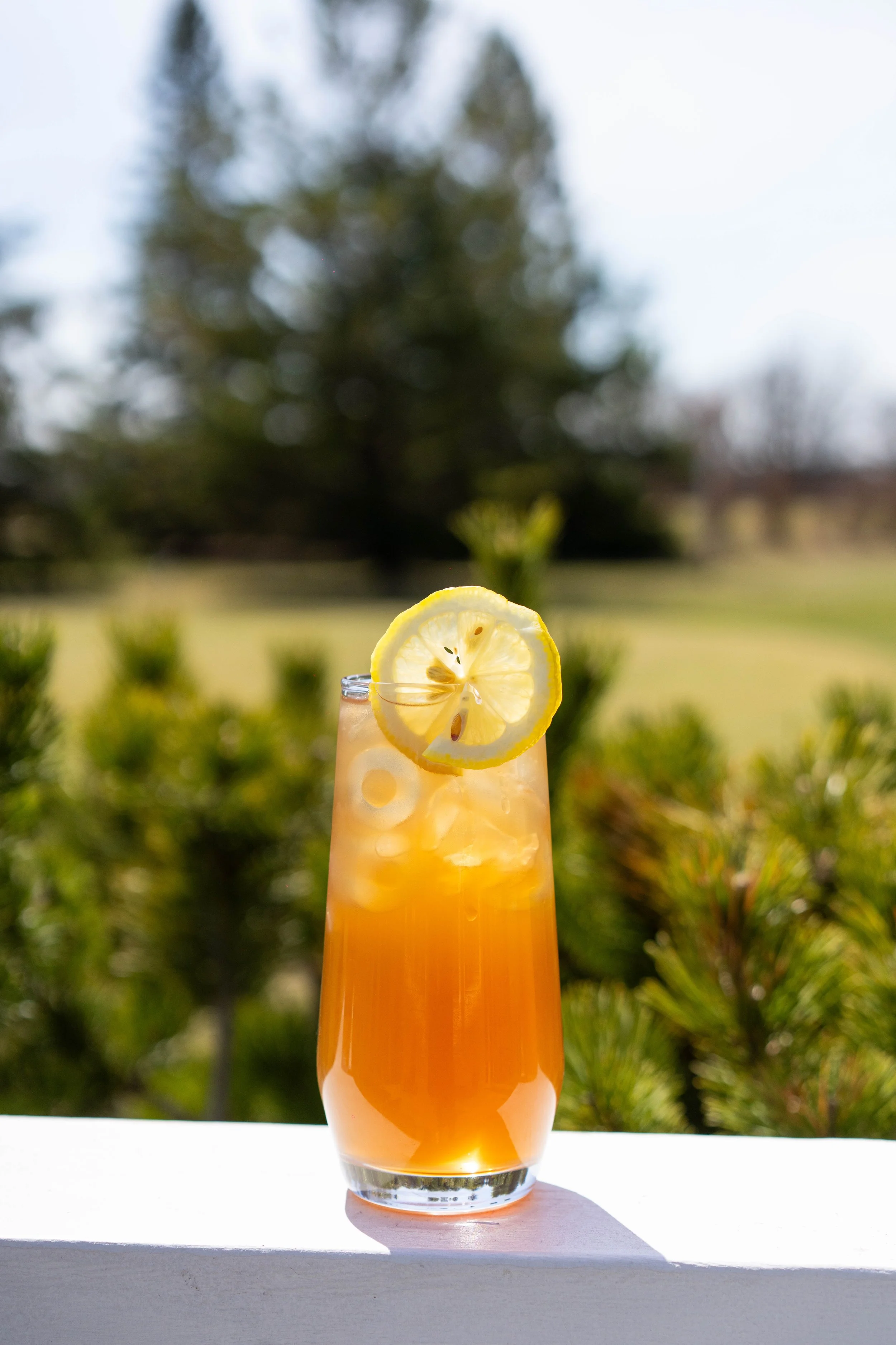 A tall transparent glass containing an orange-colored drink with lemon slices and ice cubes, set outdoors with greenery and trees in the background.