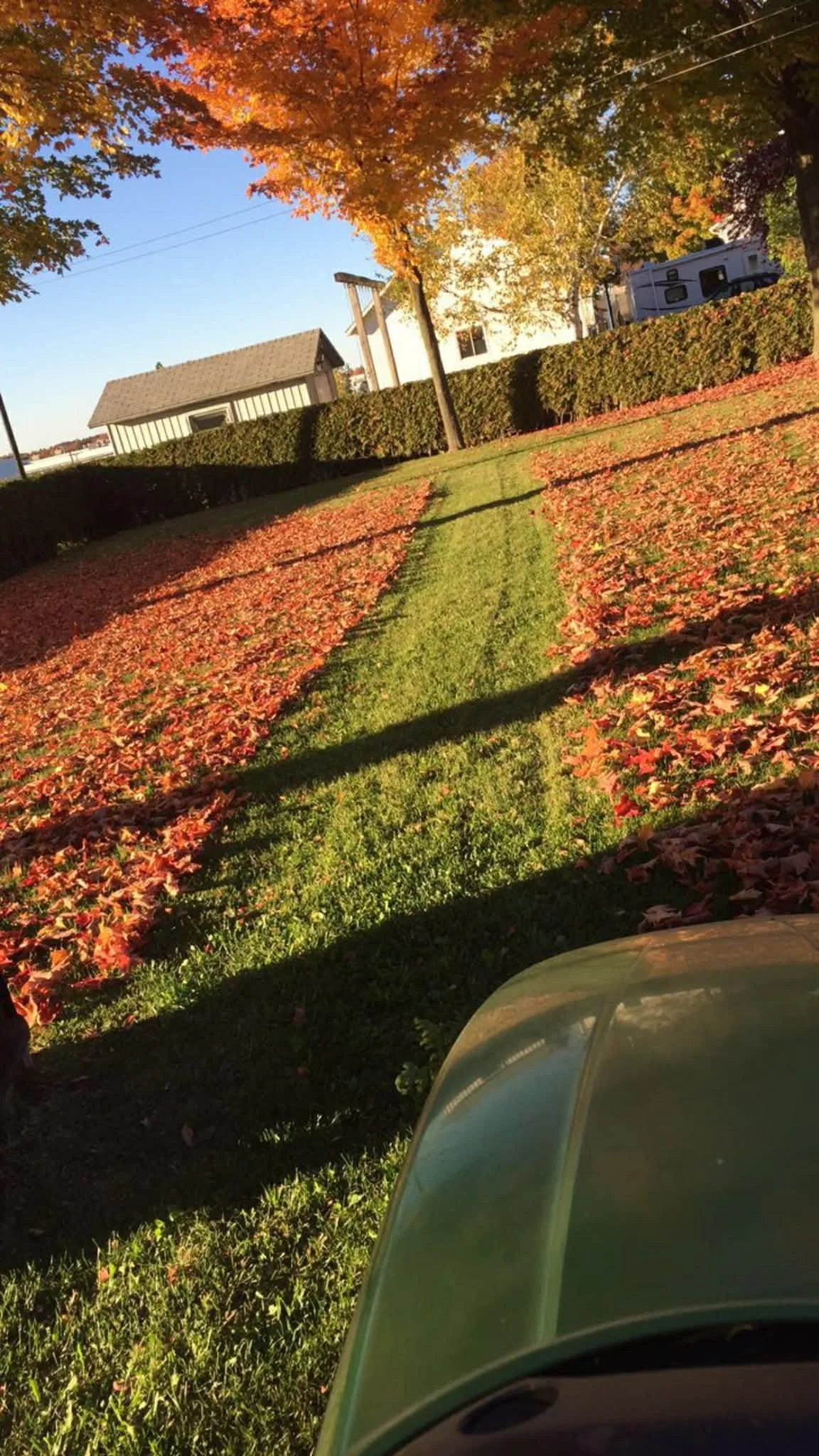 Ramassage de feuilles et fermeture de terrain à l'automne à Victoriaville.
