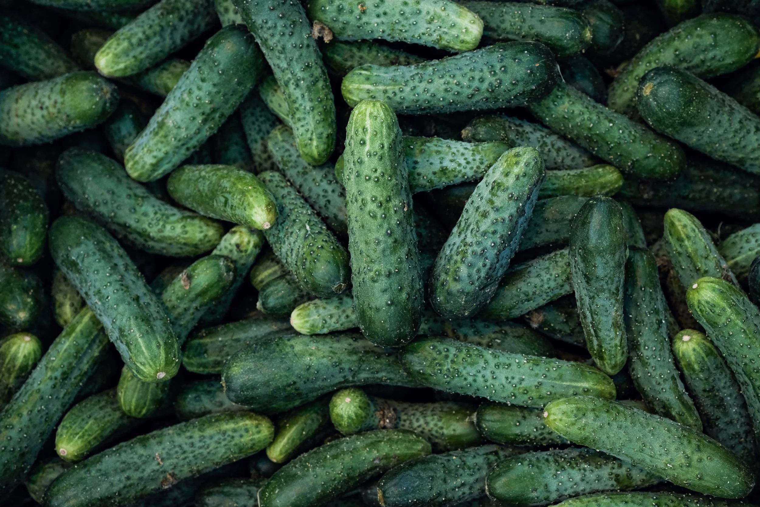 Cucumbers