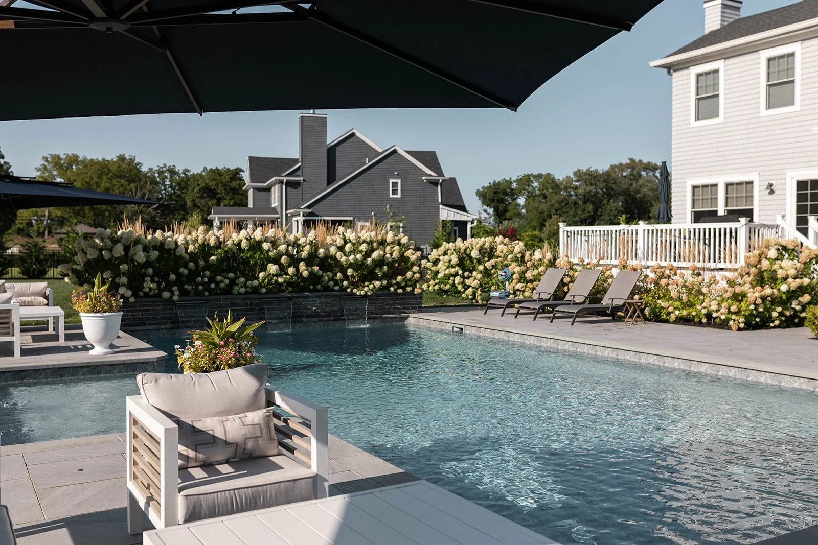 Backyard with swimming pool, lounge chairs, umbrellas, and lush flowering bushes, with a gray house and a white house in the background under a clear sky.