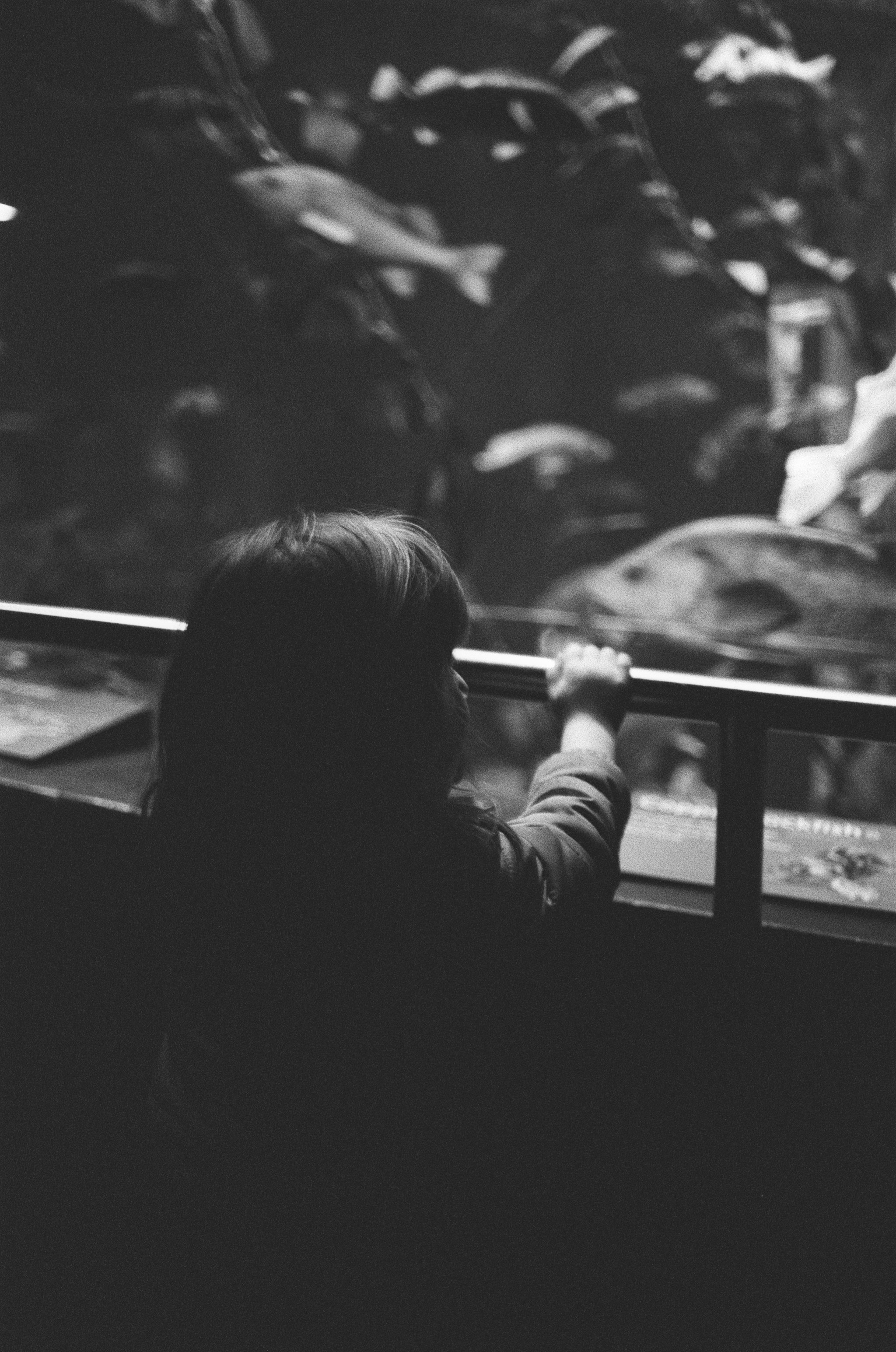 005070020021.jpg