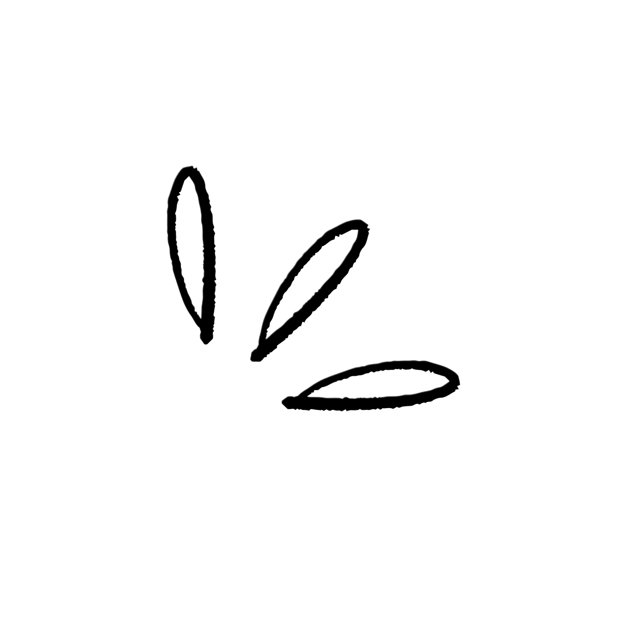 Line drawing of three tulip flowers with leaves.