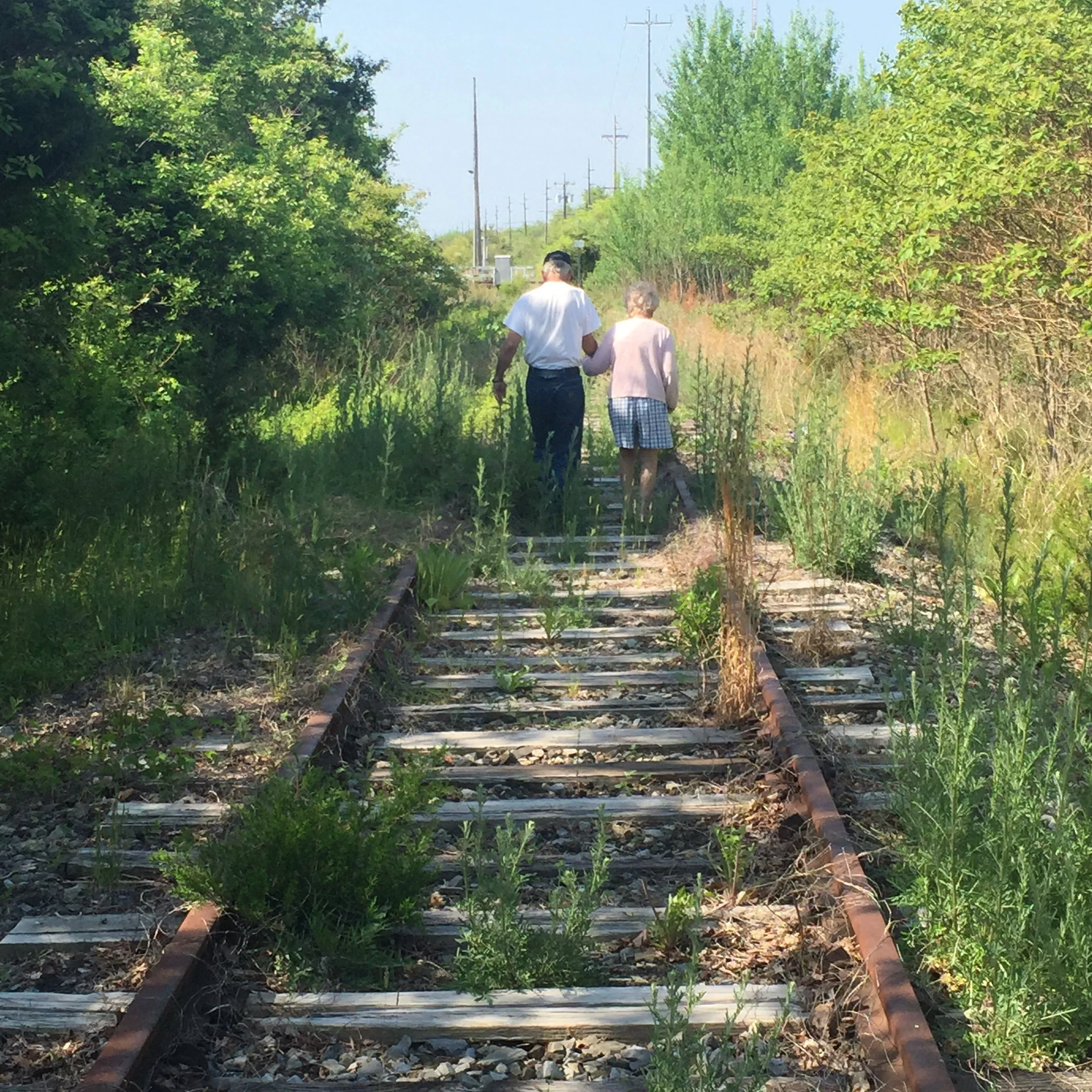 2015-05-16 09.44.19.jpg