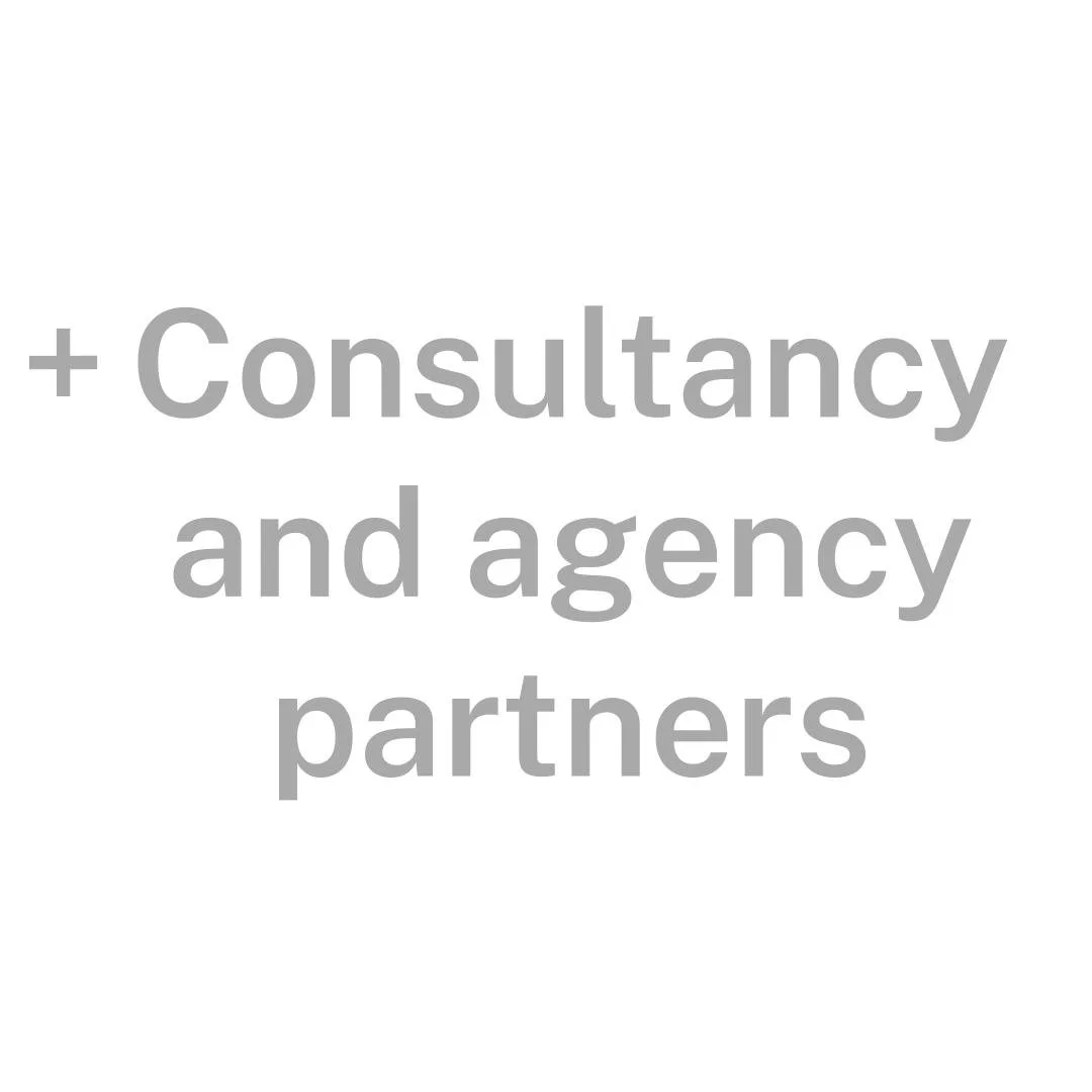 Consultancy agency partners.jpg