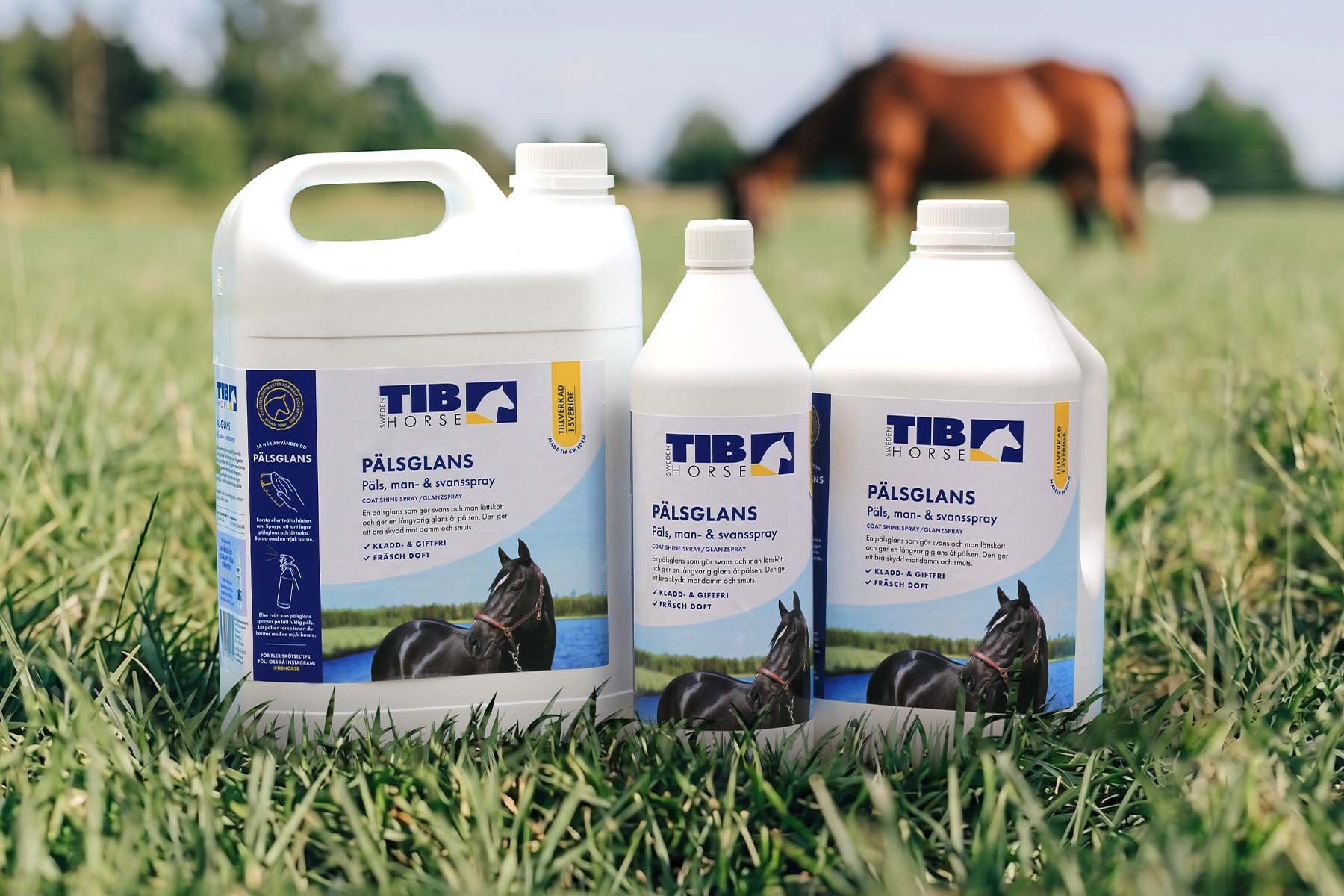 TIB Horse