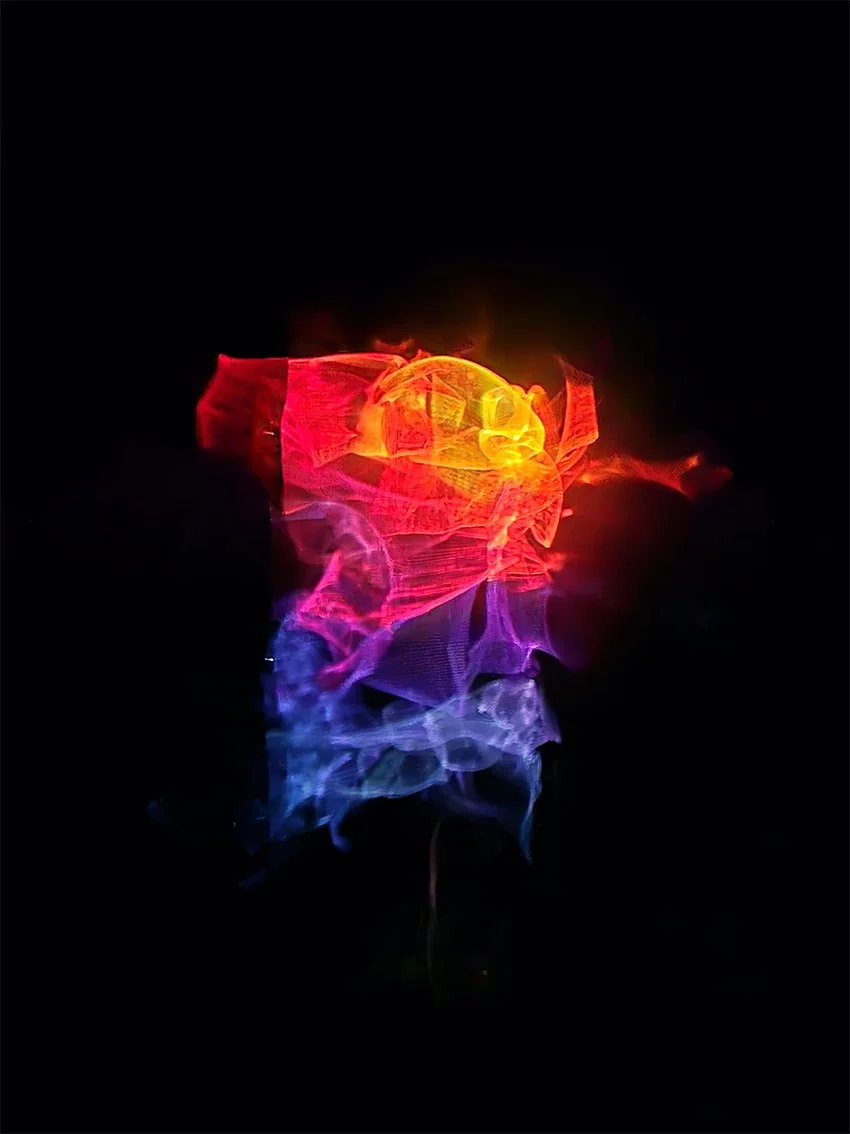 The Journey of Light