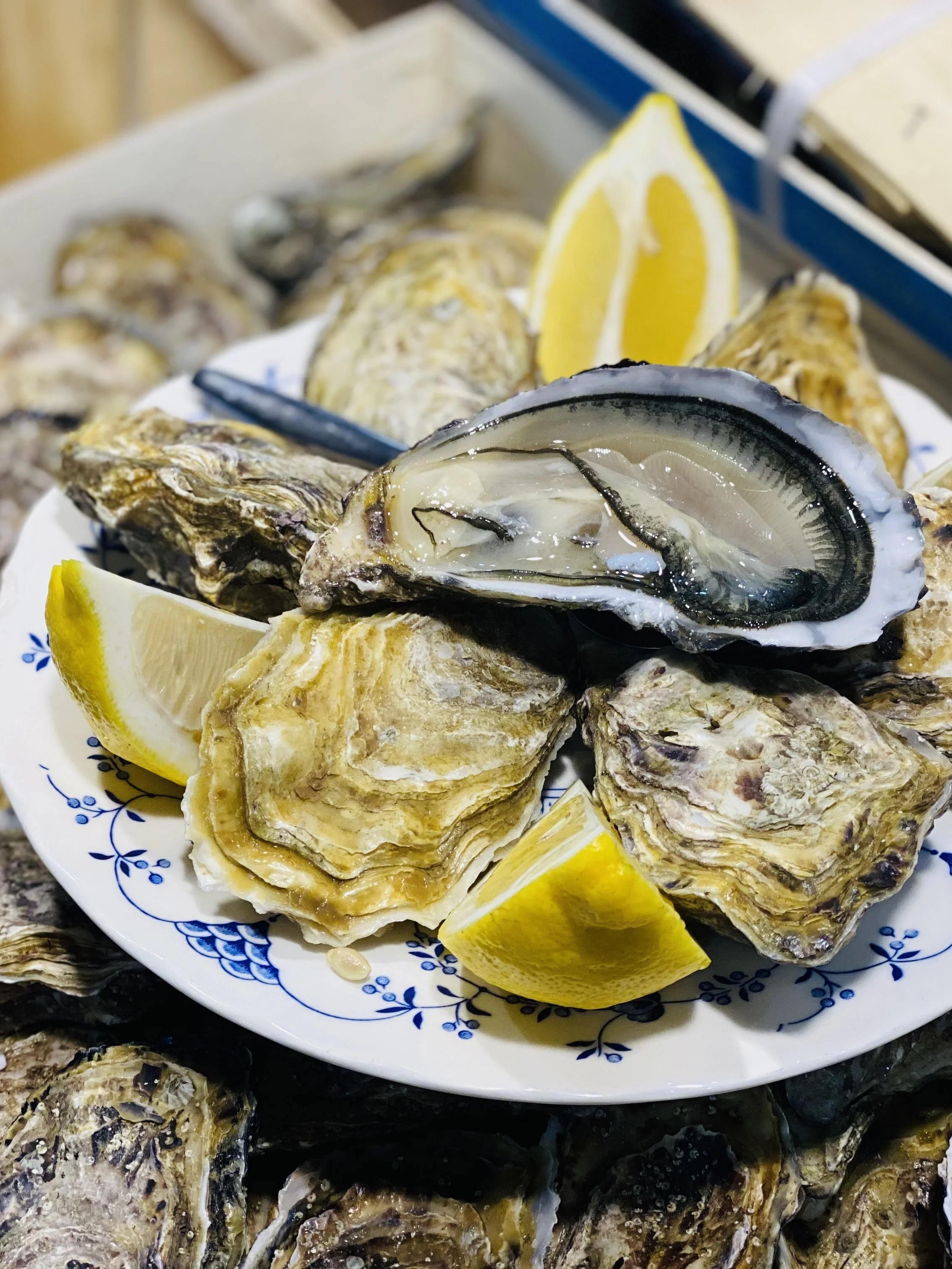 Assiette dégustation sur place d'huitres fines et d'huitres spéciales. 