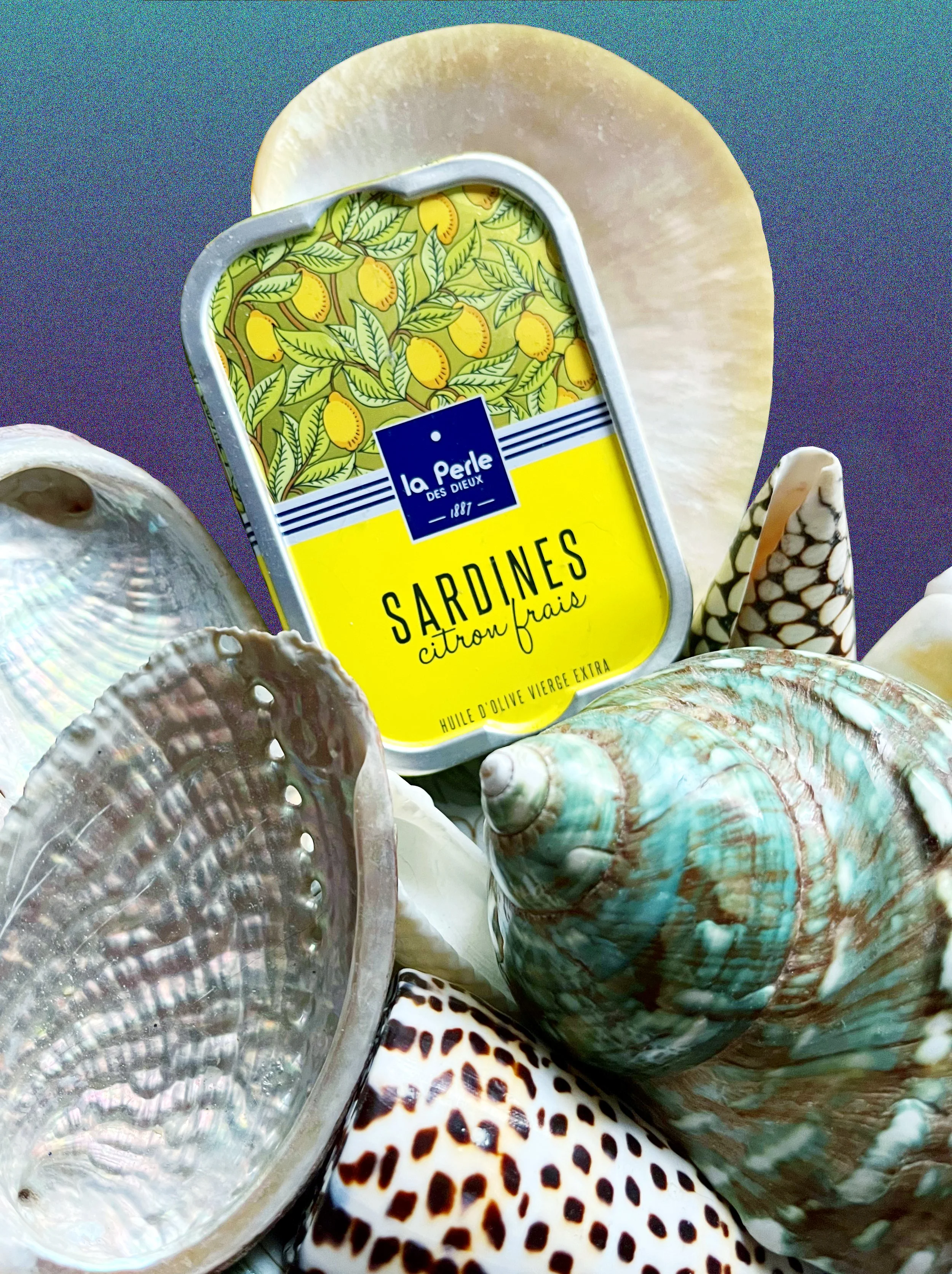 Une boîte de sardines à l'huile avec des coquillages en coquilles multicolores autour.