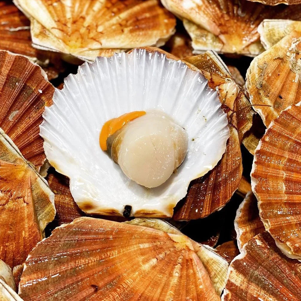 Coquillage avec une coquille vide contenant un pétoncle et une petite quantité de sauce ou de matière jaune dans la coquille.