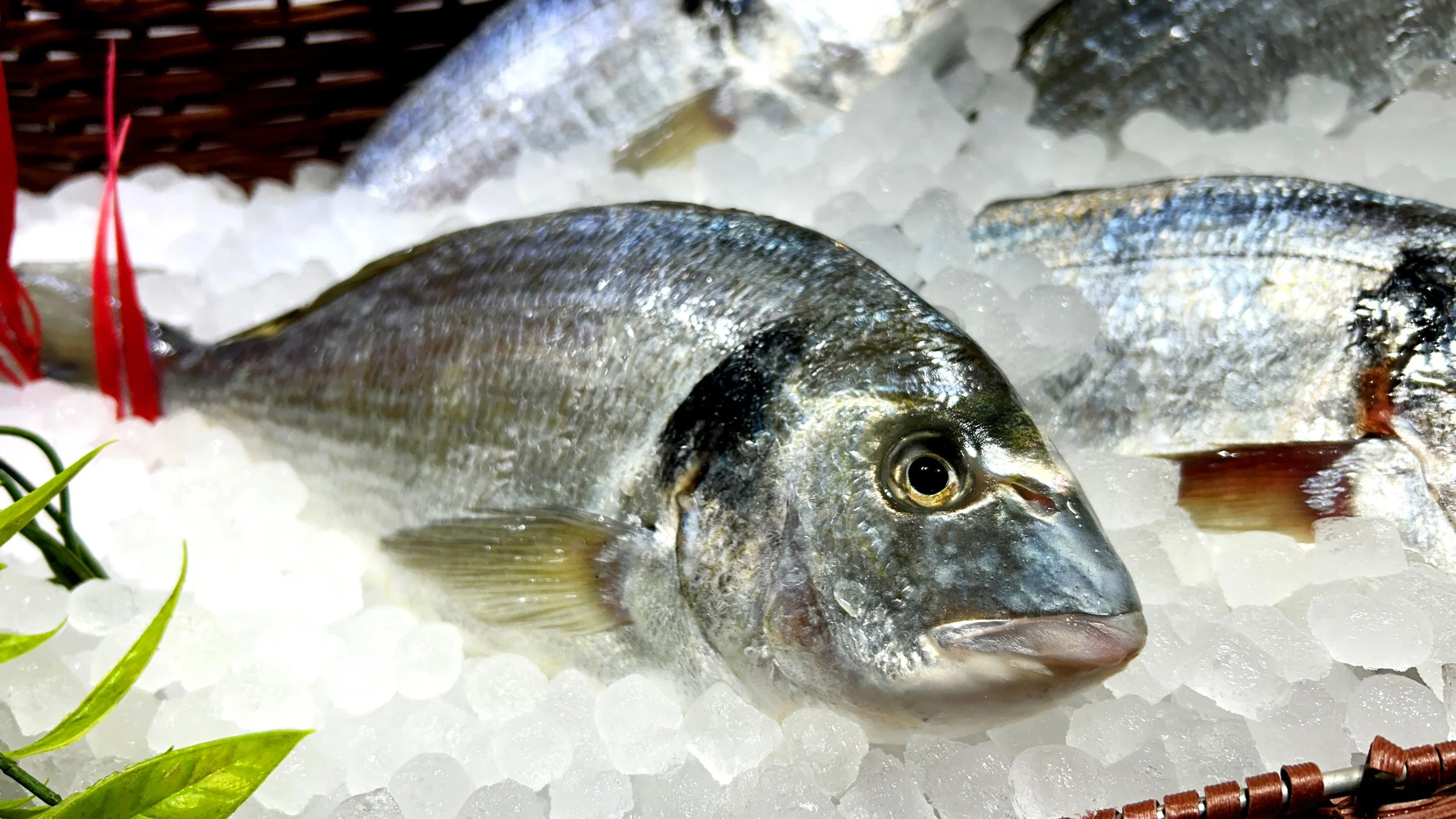 Poisson frais exposé sur de la glace dans un marché