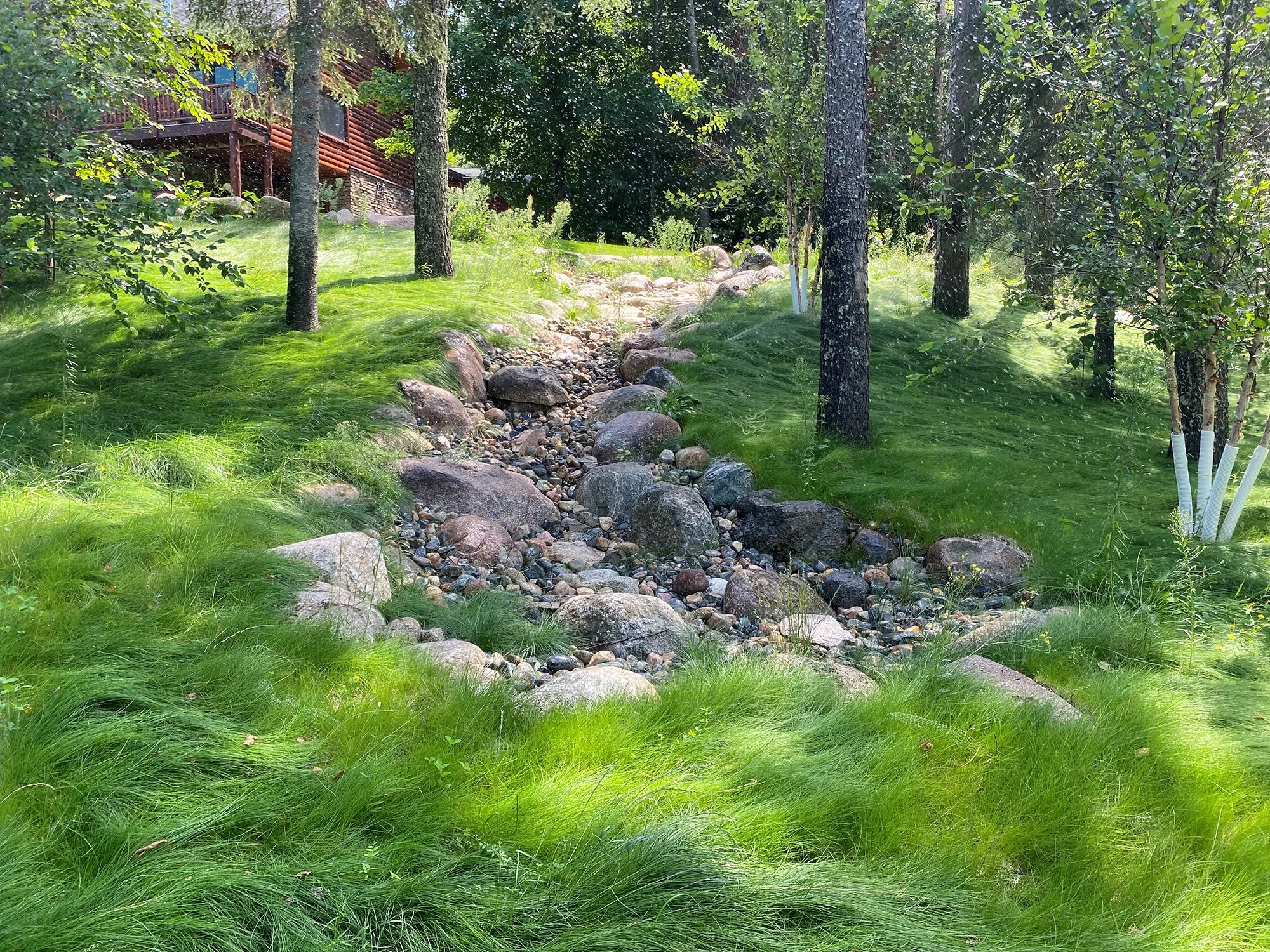 No Mow 3-LR.jpg