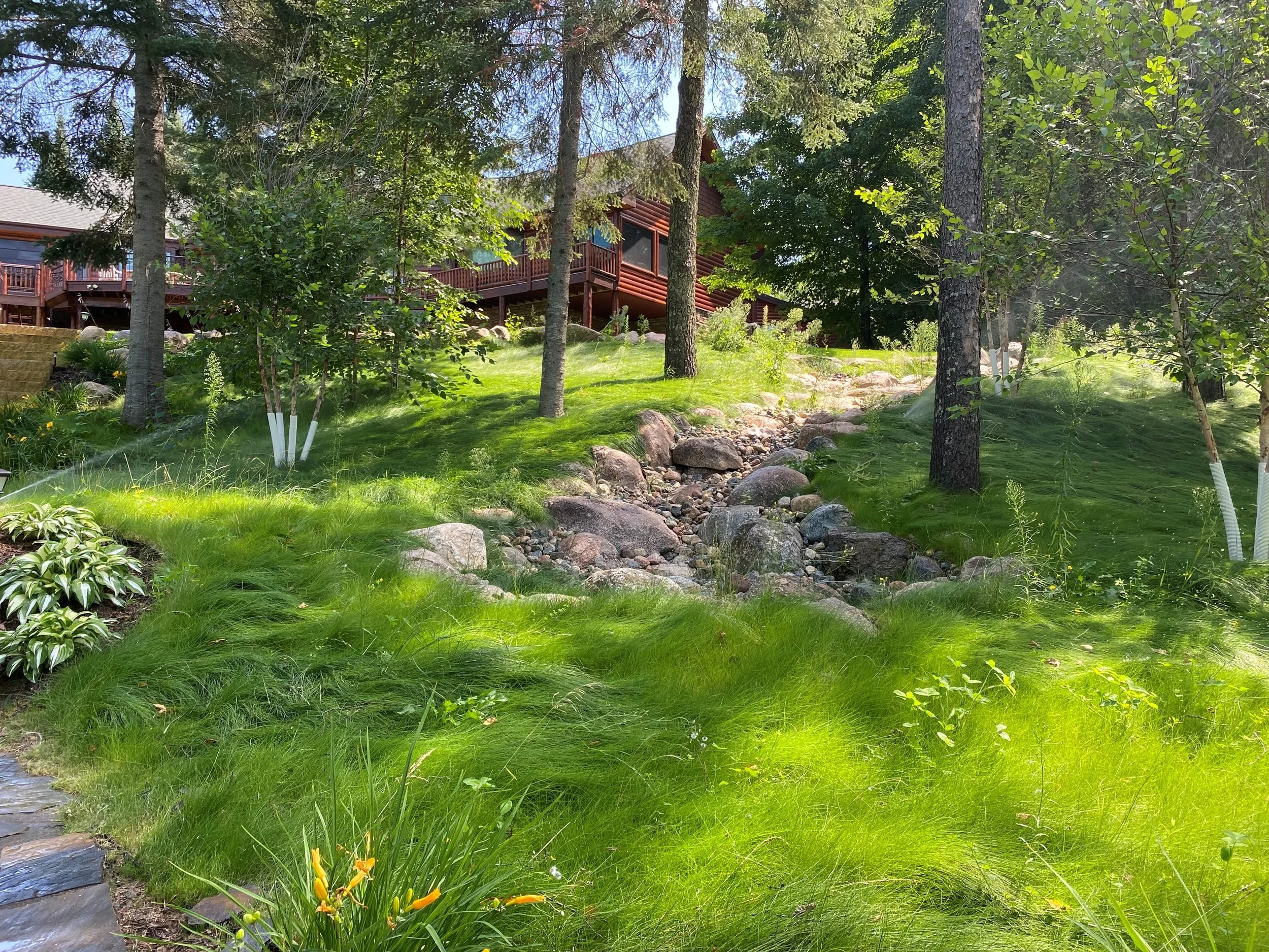 No-mow or low-mow grass is a great option for hillsides, focal points, hard-to-reach places or just about anywhere! It is low maintenance and adds texture and softness to your property.