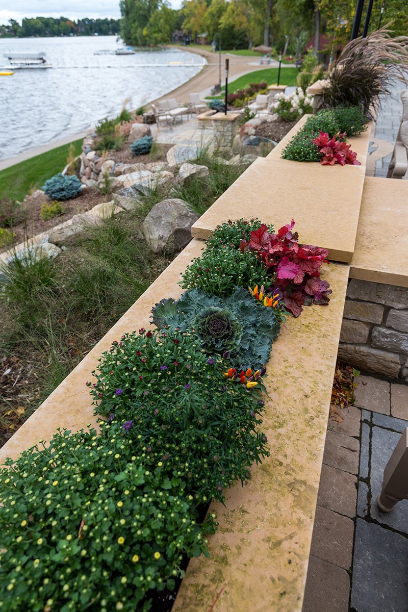 Pribyl - plants-lr.jpg