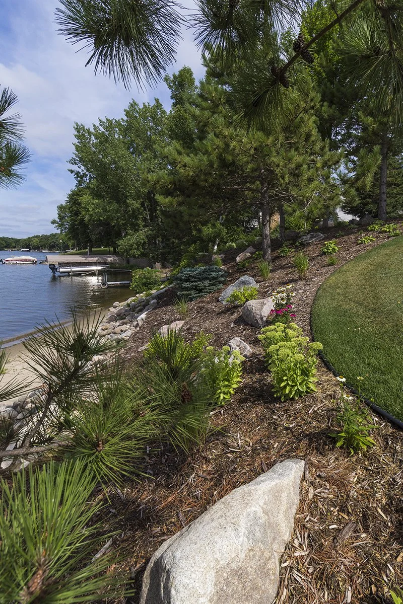 Rod Peterson Shoreline-lr.jpg