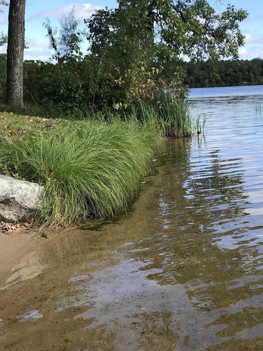Lars Natural Shoreline III-lr.jpg