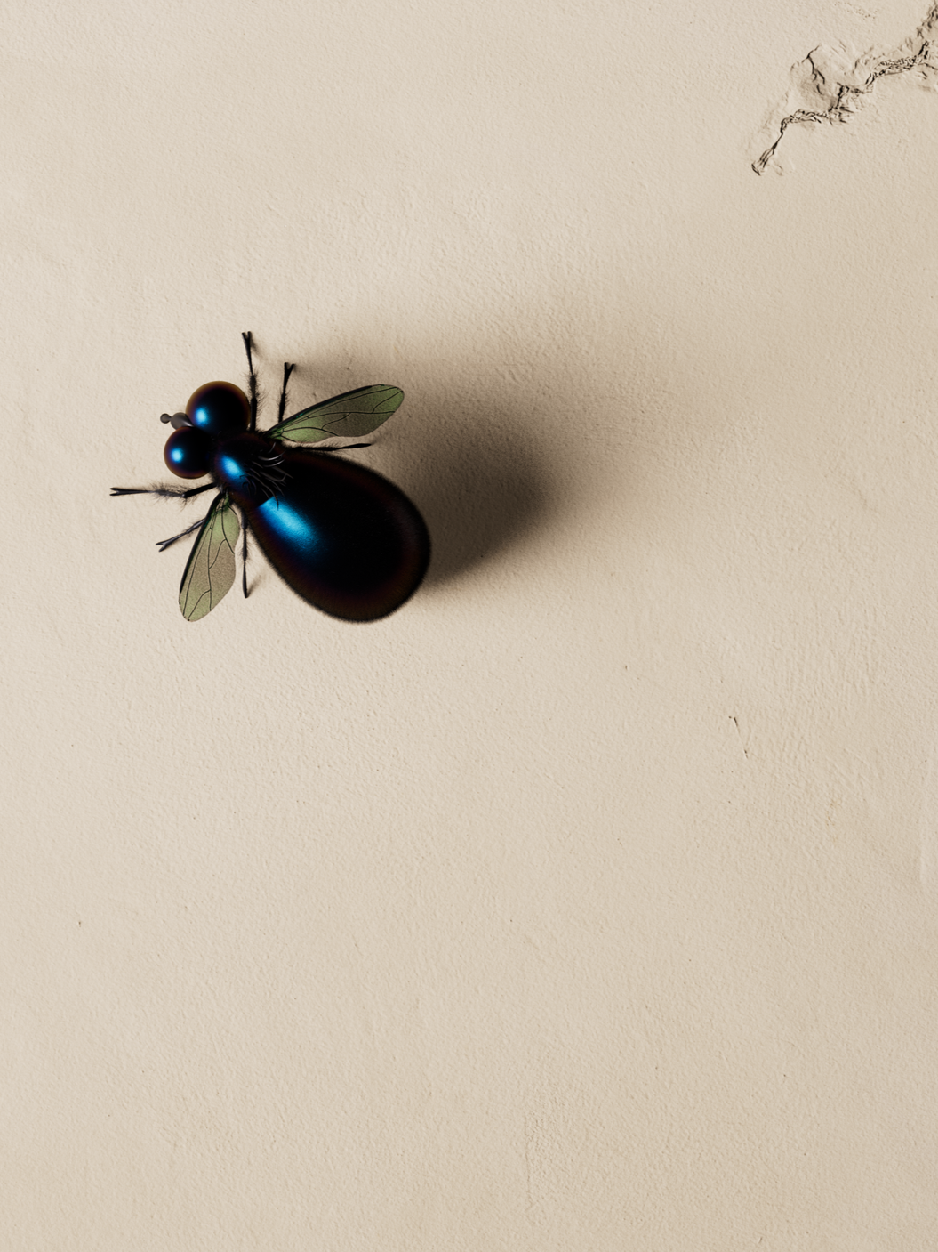 The FLY on the wall