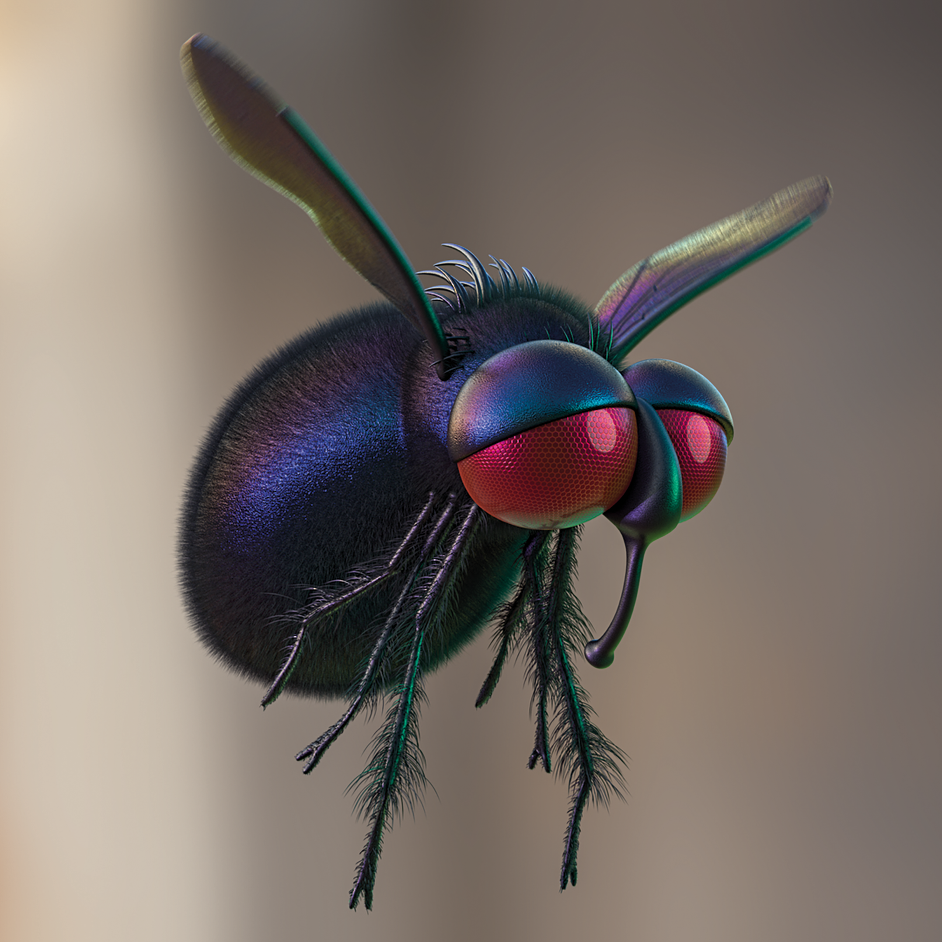 The FLY